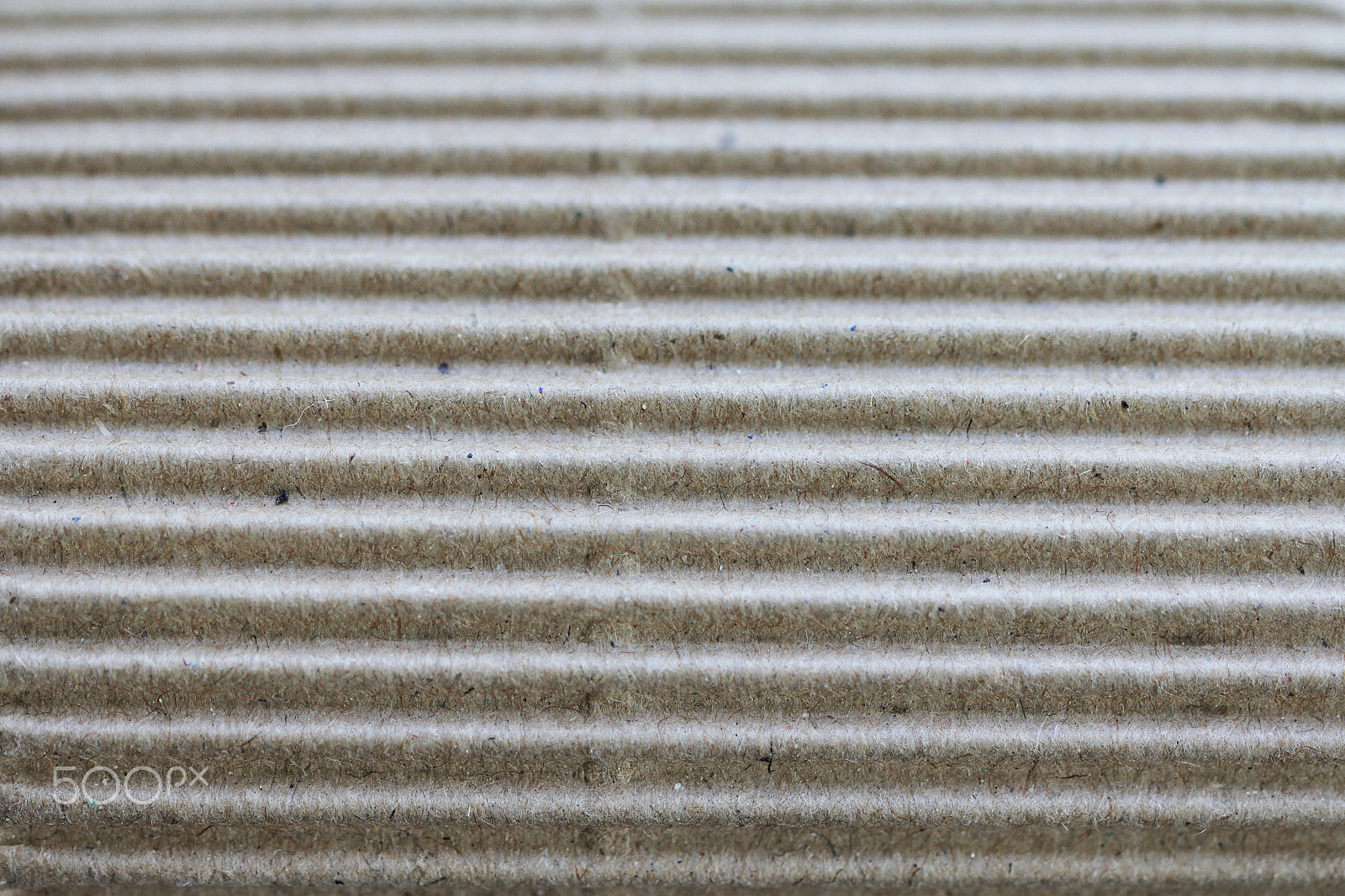 Canon EOS 550D (EOS Rebel T2i / EOS Kiss X4) + Canon EF 100mm F2.8L Macro IS USM sample photo. Recycled paper empty texture pattern photography