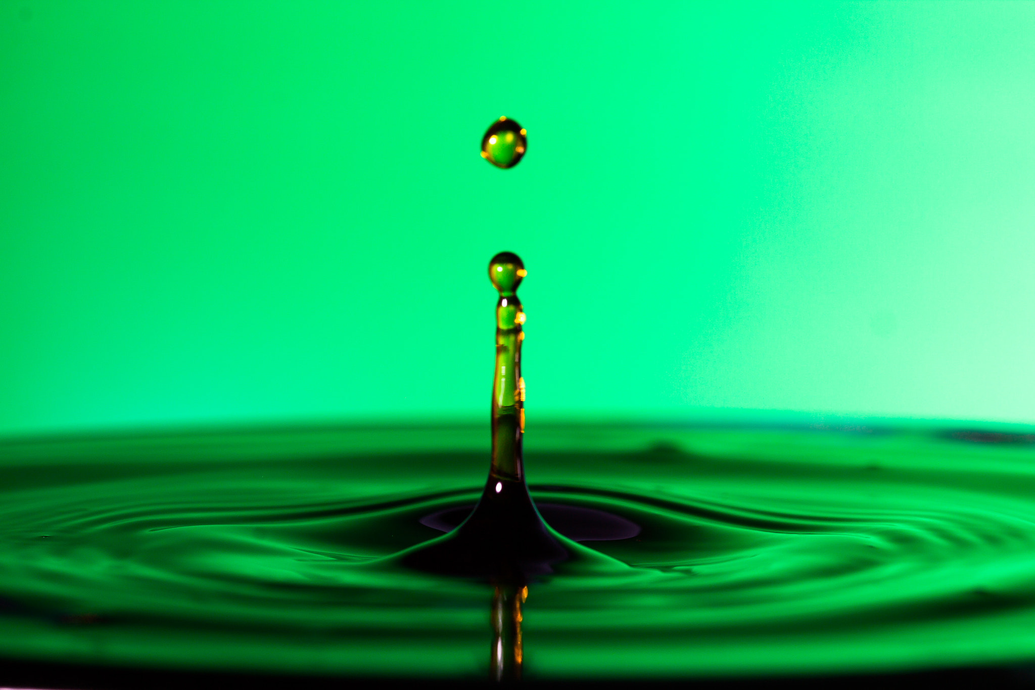 Canon EOS 60D + Canon EF 100mm F2.8L Macro IS USM sample photo. Water droplet photography