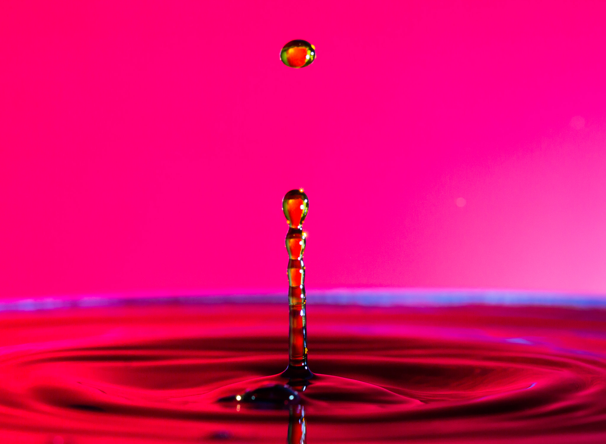 Canon EOS 60D + Canon EF 100mm F2.8L Macro IS USM sample photo. Water droplet photography