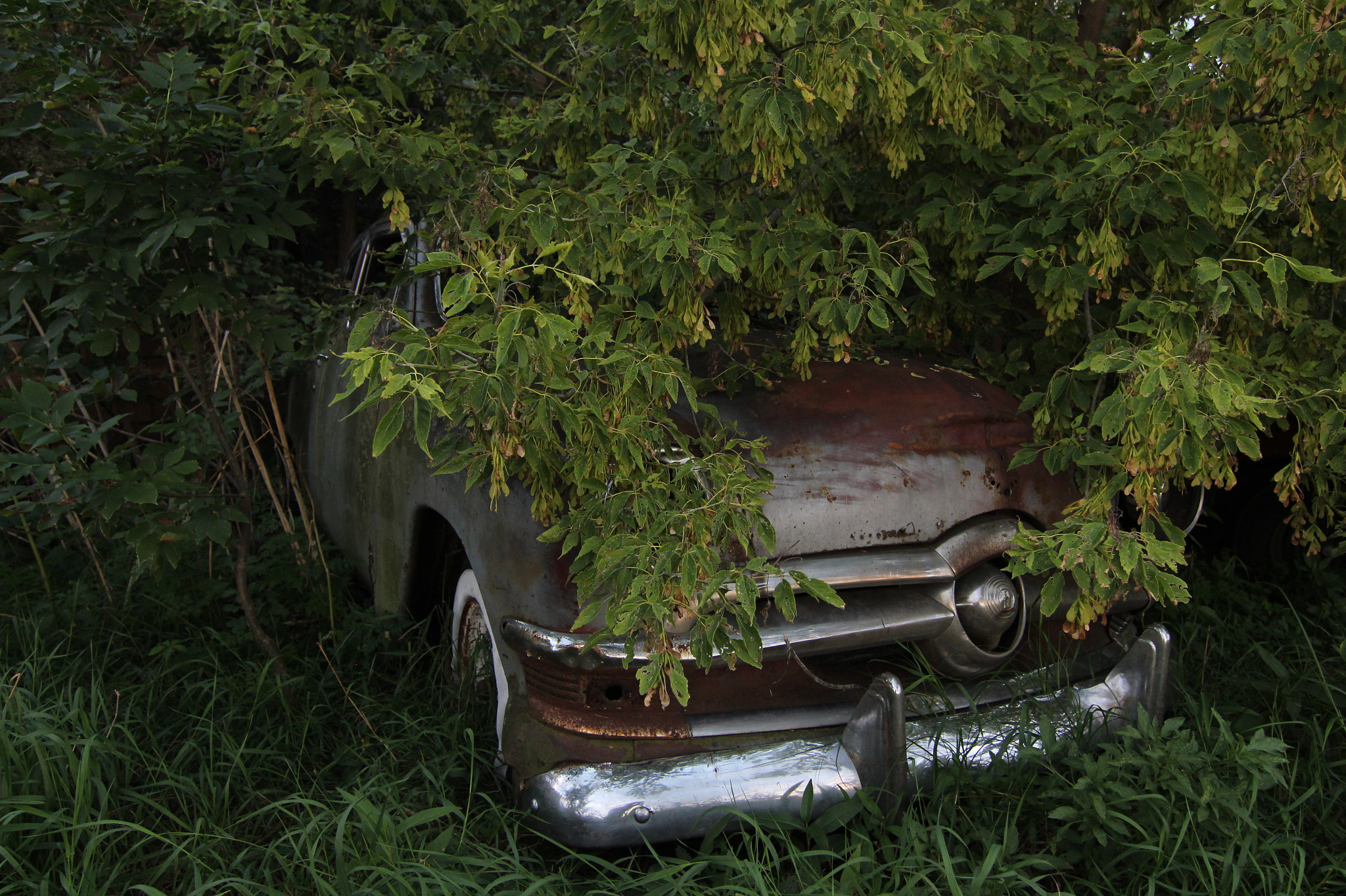 Canon EOS 700D (EOS Rebel T5i / EOS Kiss X7i) sample photo. Hints of the past photography