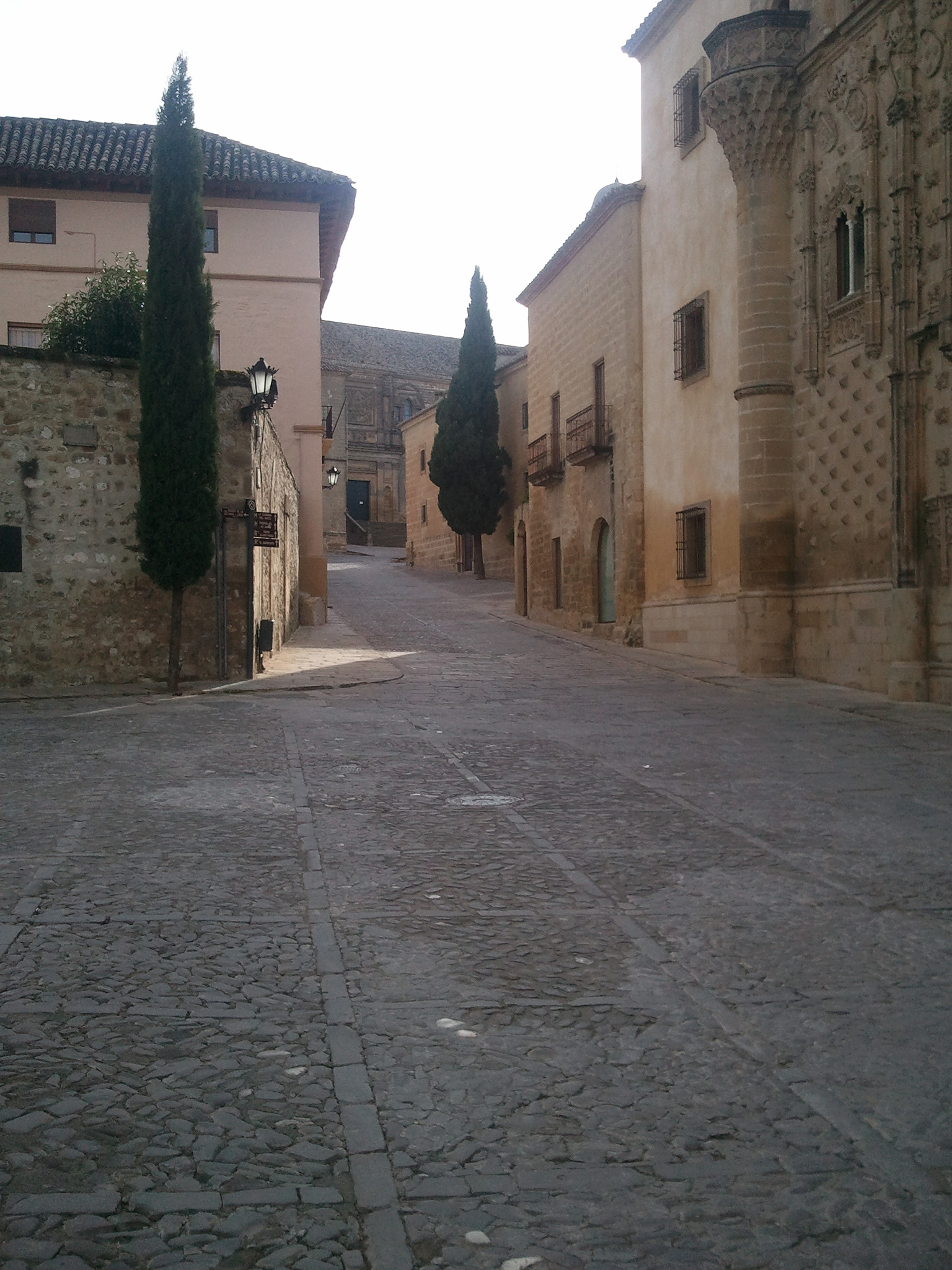 Samsung Galaxy S sample photo. () photography