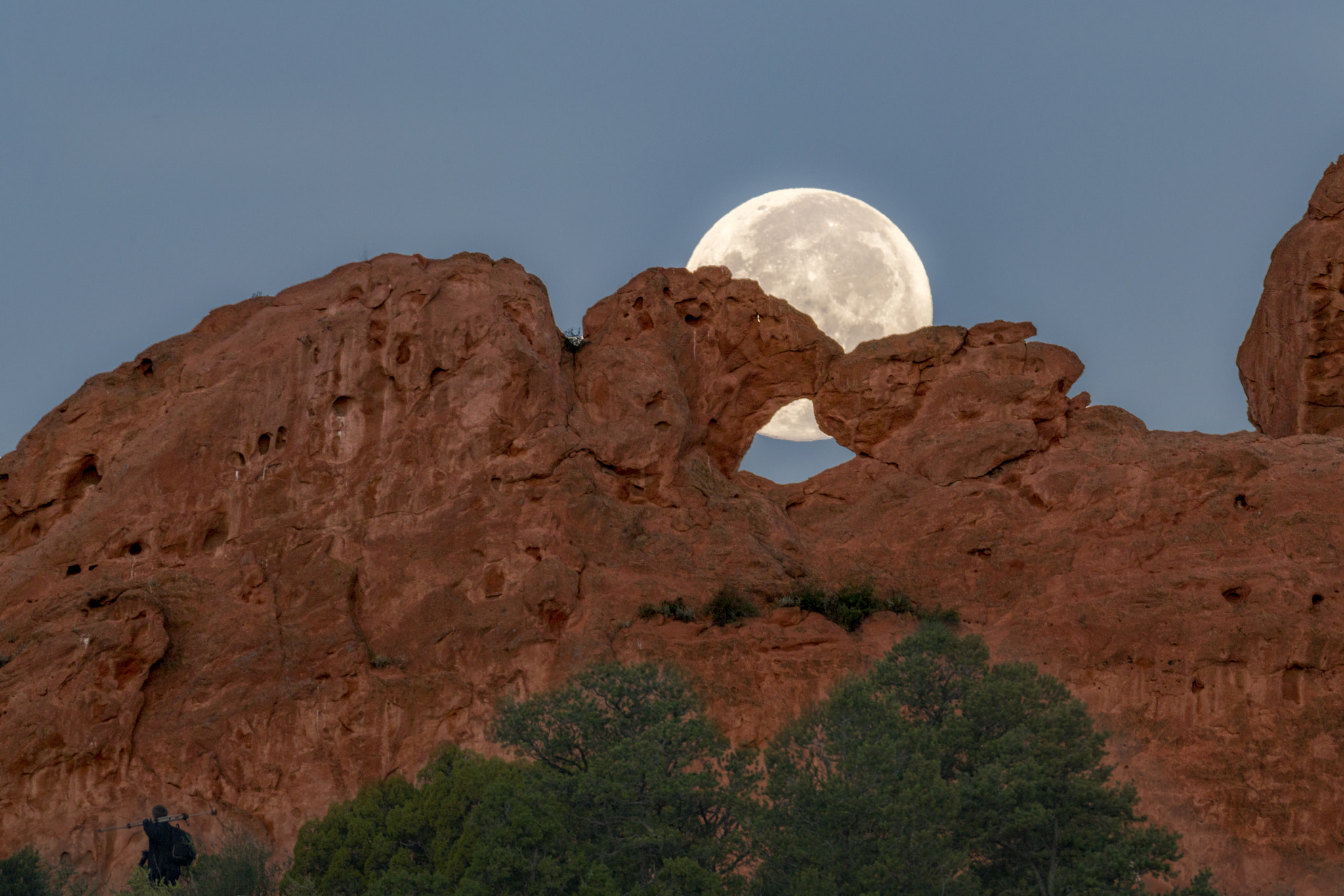 150-600mm F5-6.3 DG OS HSM | Contemporary 015 sample photo. Kissing camels and the moon photography