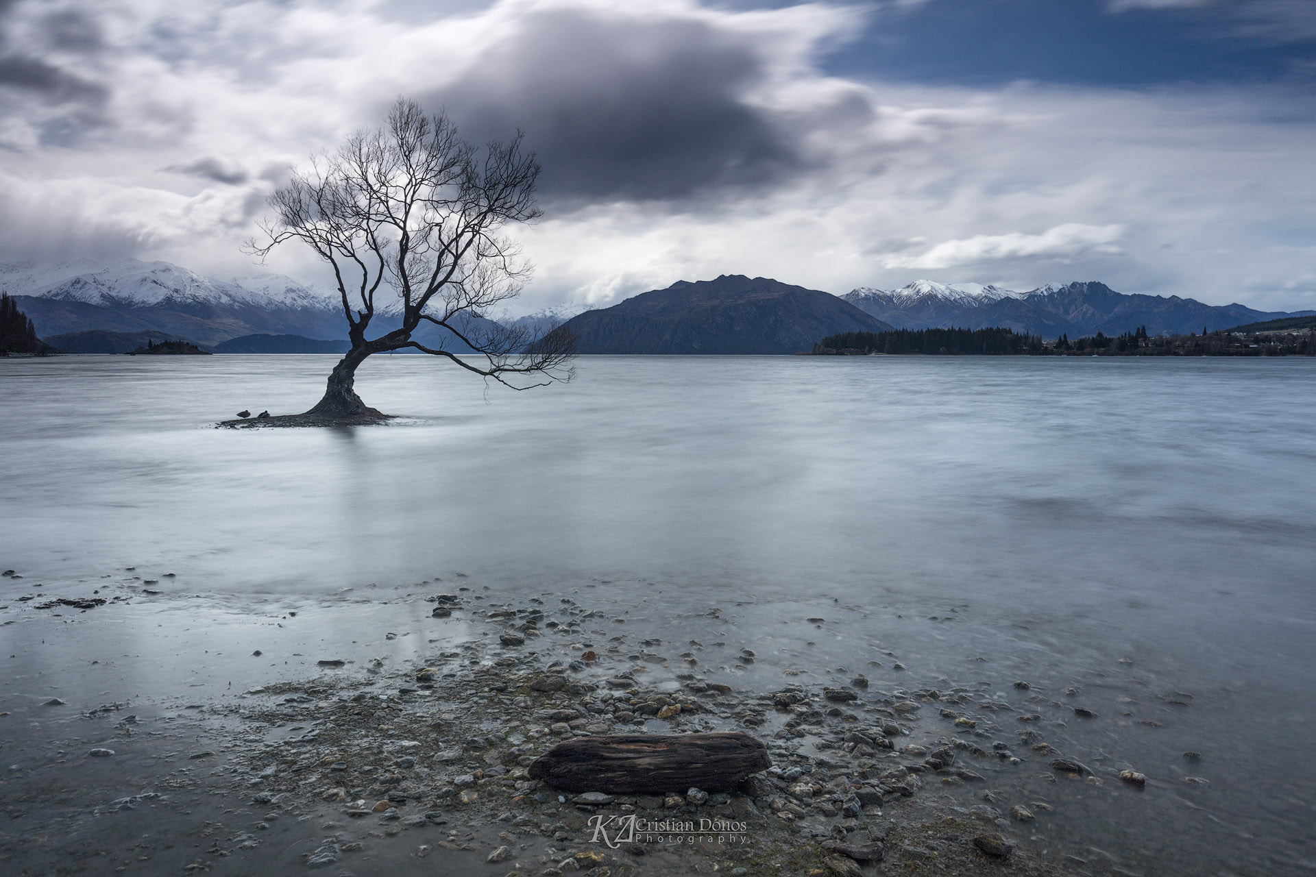 Canon EOS 5DS R + Canon EF 16-35mm F4L IS USM sample photo. Wanaka's lone tree photography