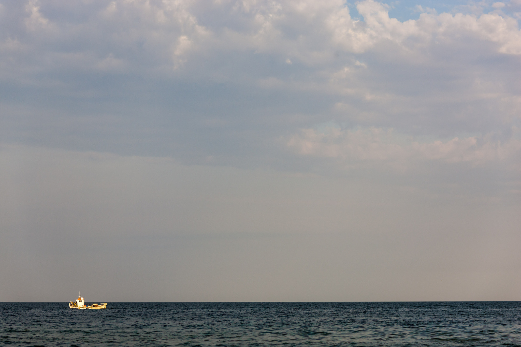 Canon EF 100mm F2.0 USM sample photo. 49 photography