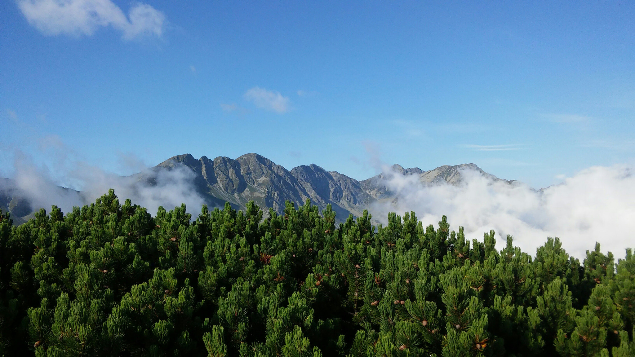 LG G3 S sample photo. Tatra mountains photography