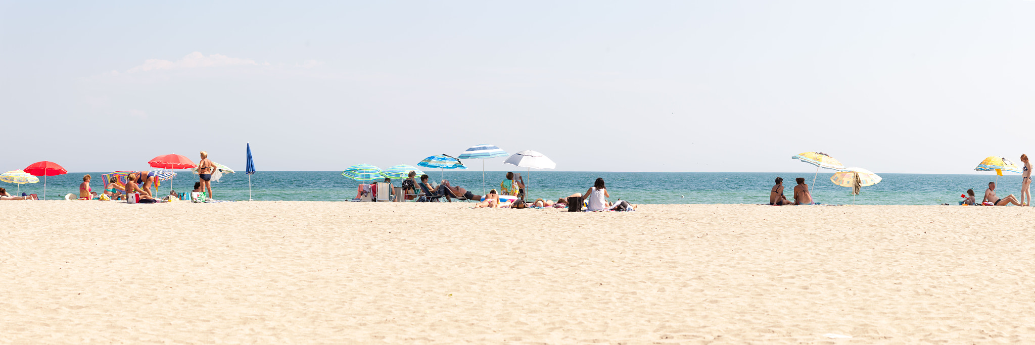Canon EF 100mm F2.0 USM sample photo. 50 photography