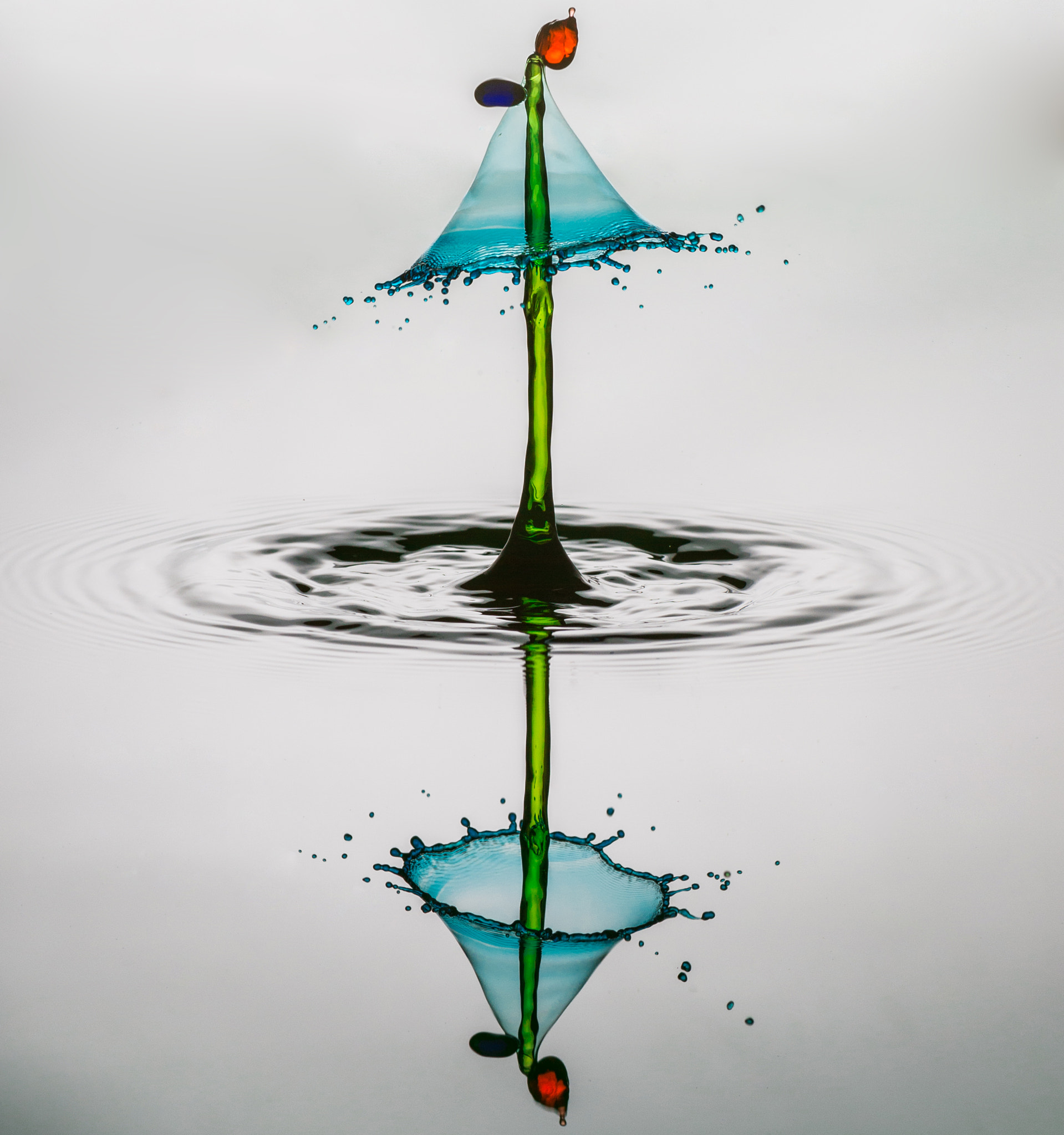 Nikon D4S sample photo. Drops photography