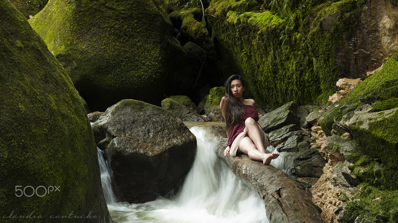 Nikon D5000 sample photo