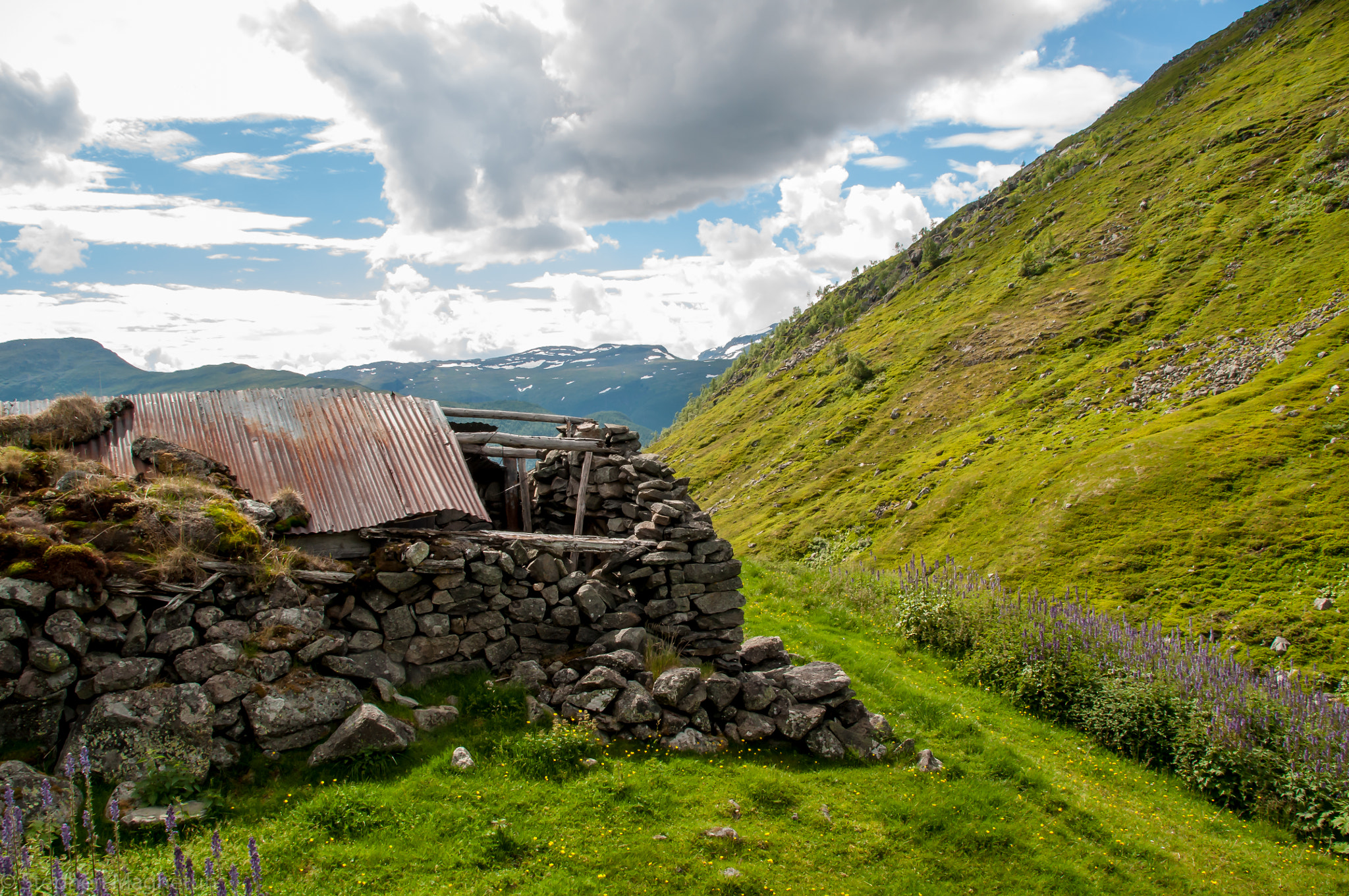 Sigma 18-200mm F3.5-6.3 DC OS HSM sample photo. Lærdal photography
