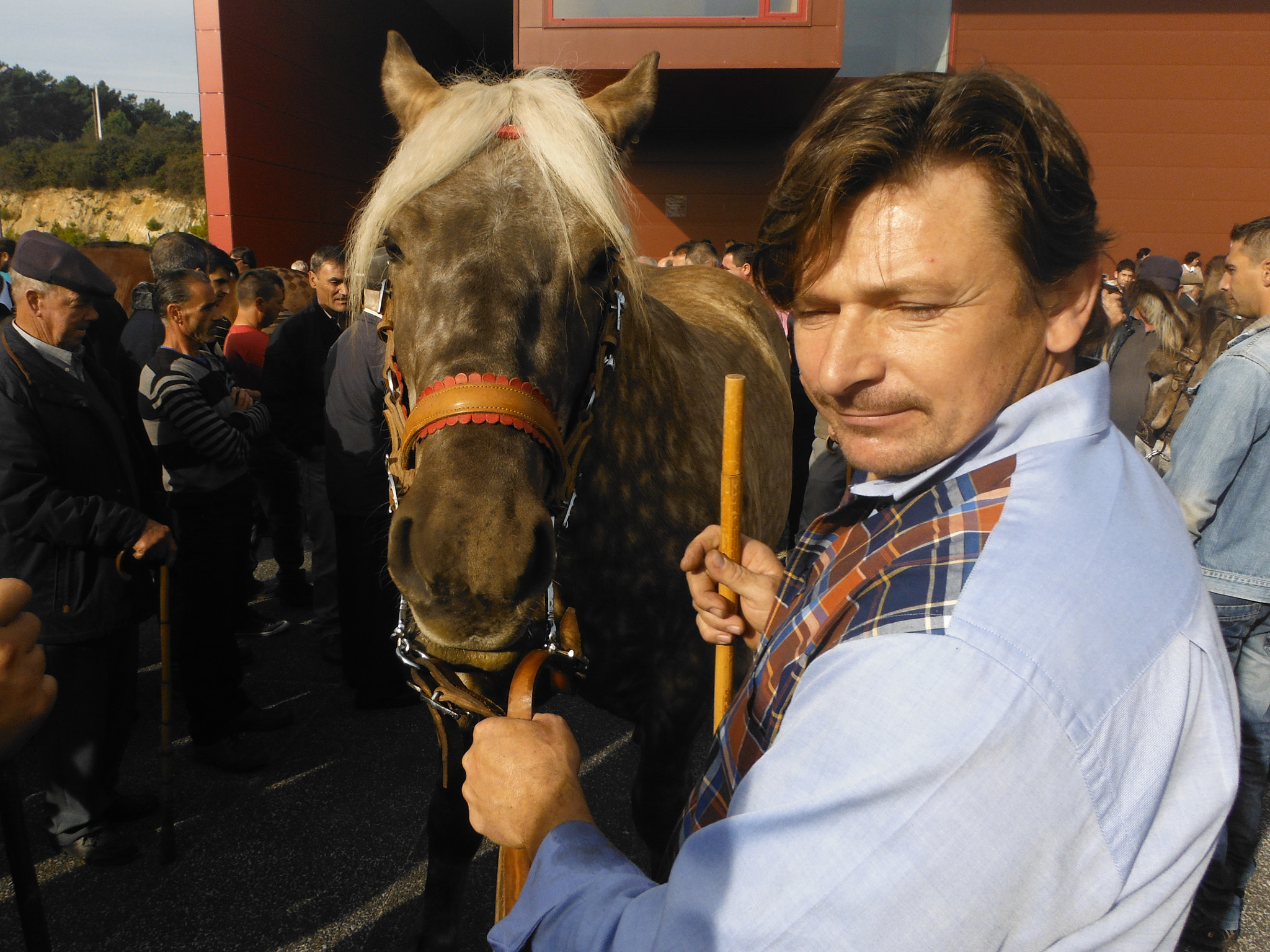 Fujifilm FinePix XP150 sample photo. The horse and the owner photography