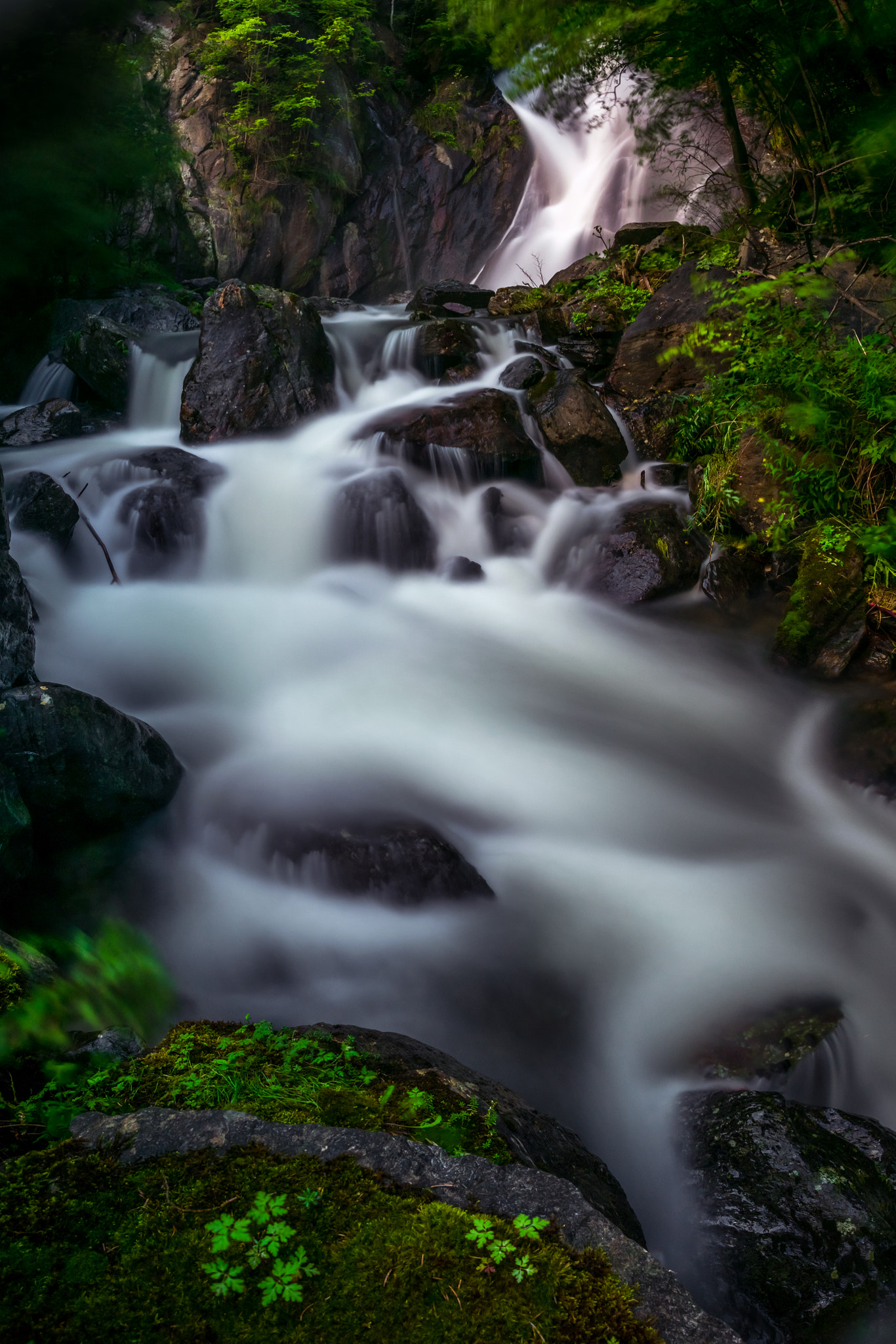 Nikon D3300 + Sigma 18-35mm F1.8 DC HSM Art sample photo. A piece of nature photography