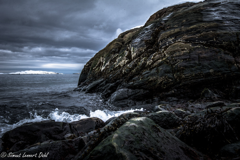 Nikon AF-S Nikkor 18-35mm F3.5-4.5G ED sample photo. Greenland ocean/seaside photography