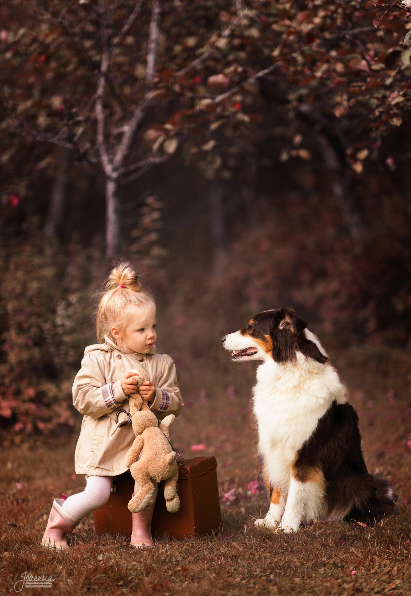 Nikon D4S + Nikon AF-S Nikkor 85mm F1.4G sample photo. Anni and the dog photography