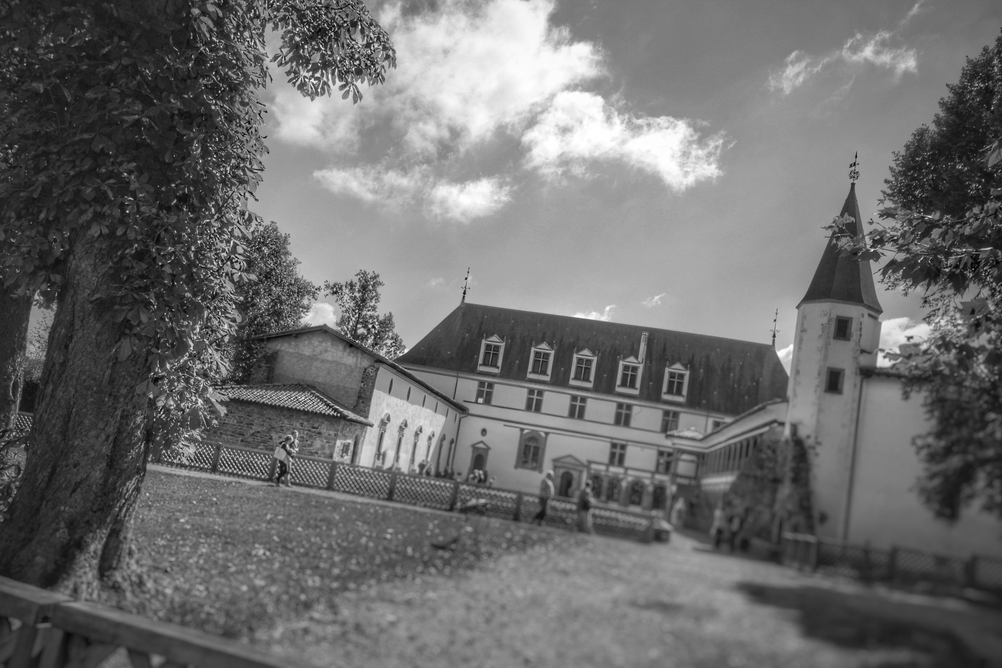 Canon 10-20mm sample photo