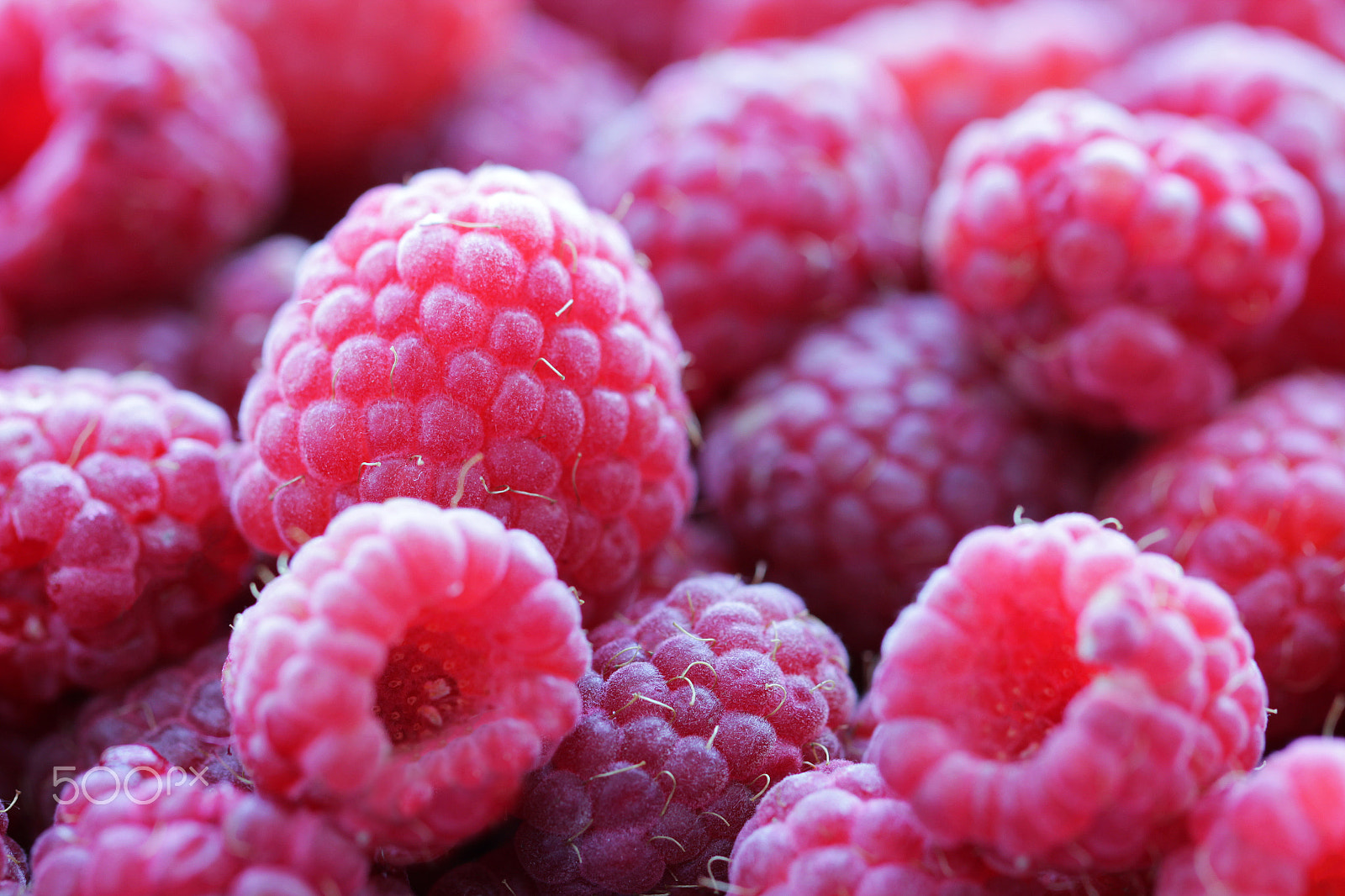 Canon EOS 550D (EOS Rebel T2i / EOS Kiss X4) + Canon EF 100mm F2.8L Macro IS USM sample photo. Raspberries tasty food background photography