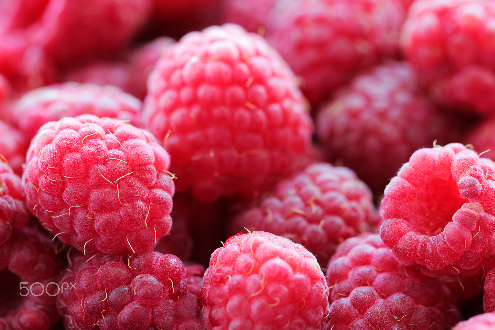 Canon EOS 550D (EOS Rebel T2i / EOS Kiss X4) + Canon EF 100mm F2.8L Macro IS USM sample photo. Raspberries tasty food background photography