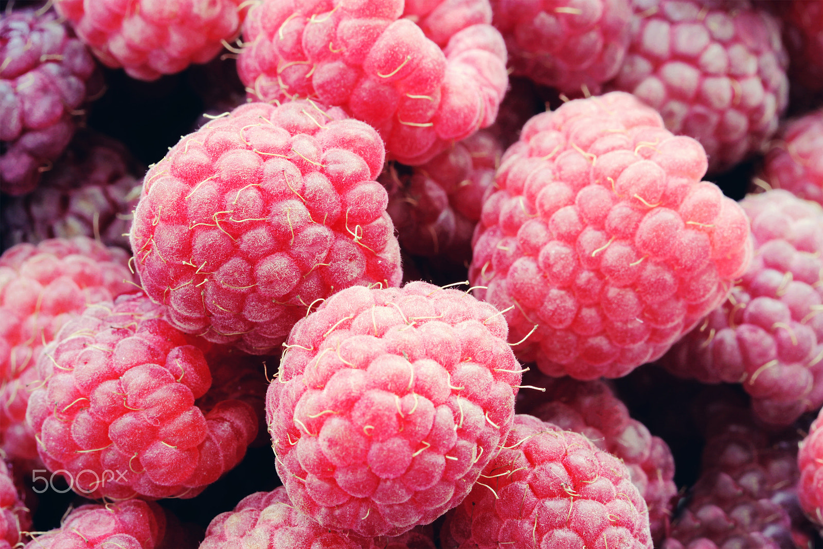 Canon EOS 550D (EOS Rebel T2i / EOS Kiss X4) + Canon EF 100mm F2.8L Macro IS USM sample photo. Raspberries tasty food background photography