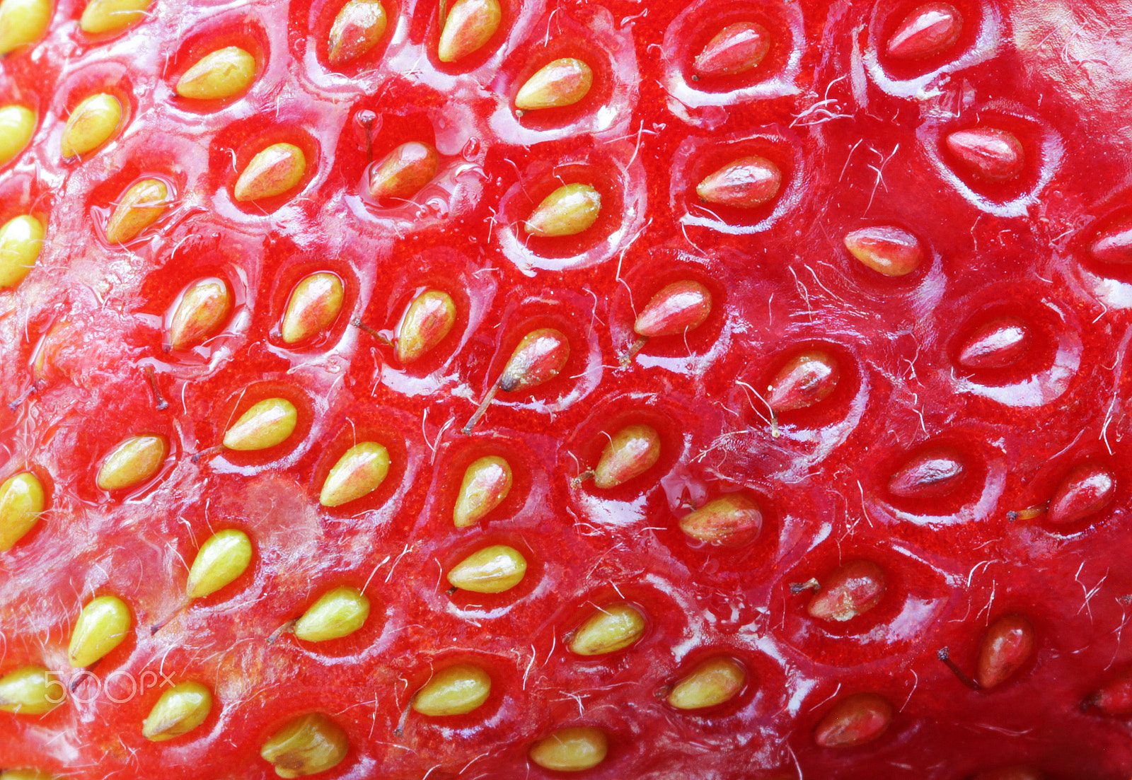 Canon EOS 550D (EOS Rebel T2i / EOS Kiss X4) + Canon EF 100mm F2.8L Macro IS USM sample photo. Strawberry food background photography