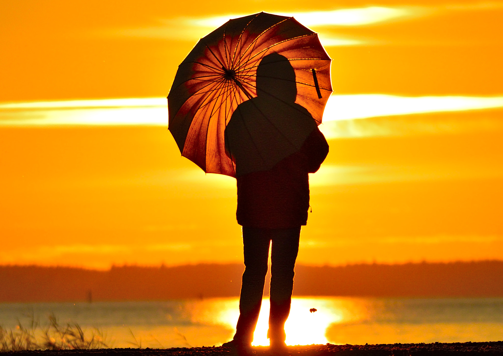 Nikon 1 V2 sample photo. Sunset dreamer photography