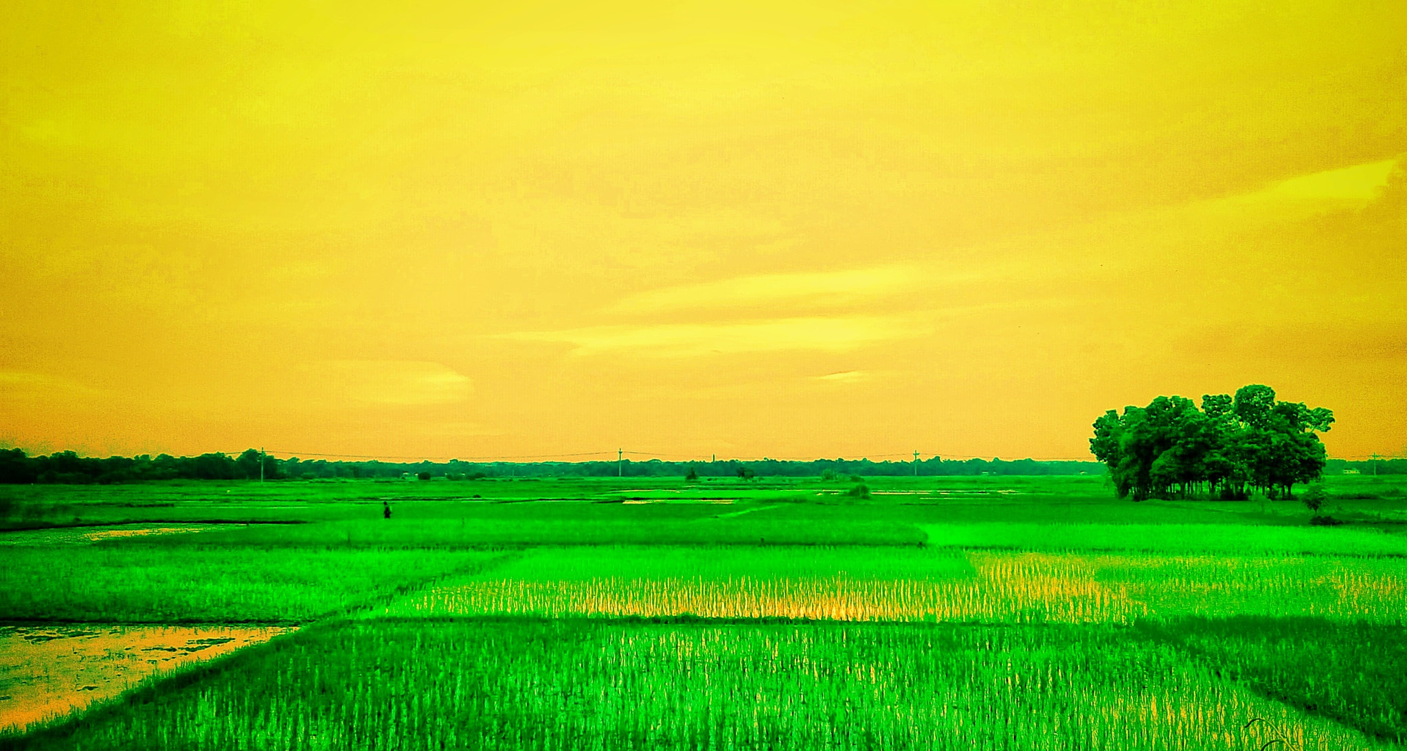 Symphony i10 sample photo