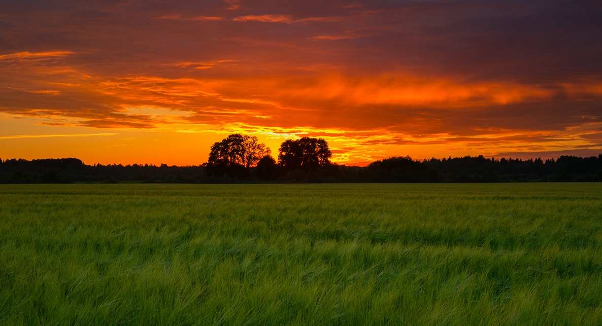 Nikon D4 sample photo. Nd photography