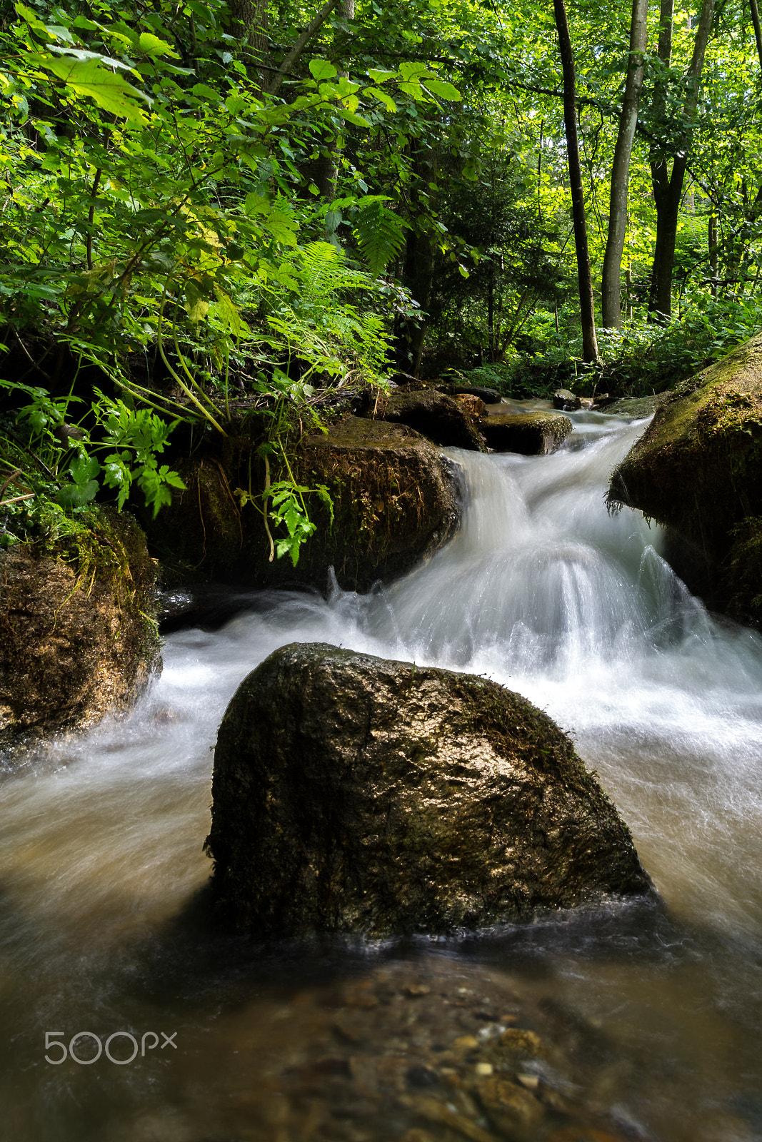 Nikon D5200 + Sigma 18-200mm F3.5-6.3 DC sample photo. Bach / creek photography