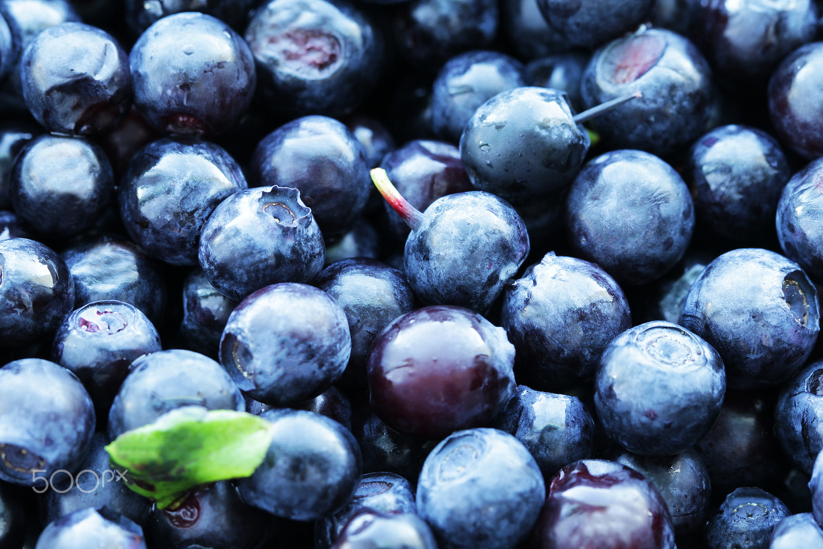 Canon EOS 550D (EOS Rebel T2i / EOS Kiss X4) + Canon EF 100mm F2.8L Macro IS USM sample photo. Blueberry food background close up photography