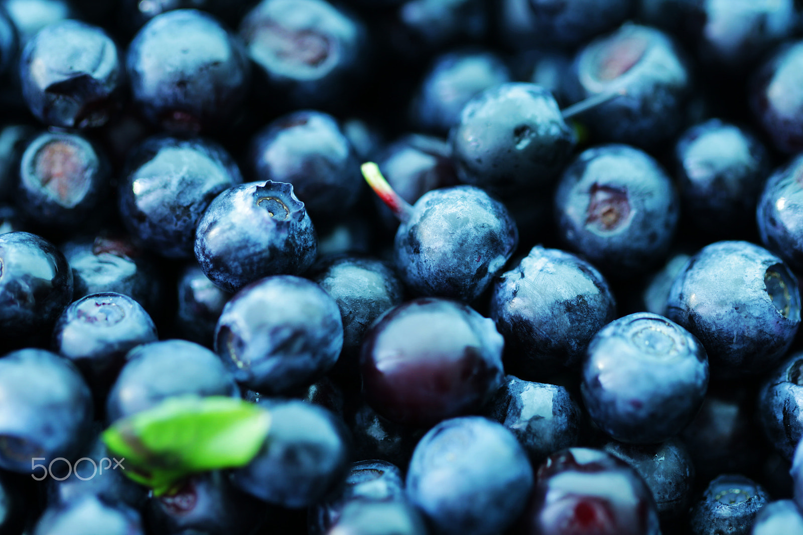 Canon EOS 550D (EOS Rebel T2i / EOS Kiss X4) + Canon EF 100mm F2.8L Macro IS USM sample photo. Blueberry food background close up photography