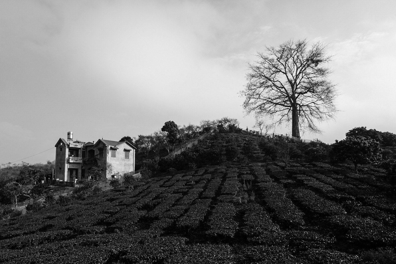 Fujifilm X-E2 + Fujifilm XF 14mm F2.8 R sample photo. Choices photography