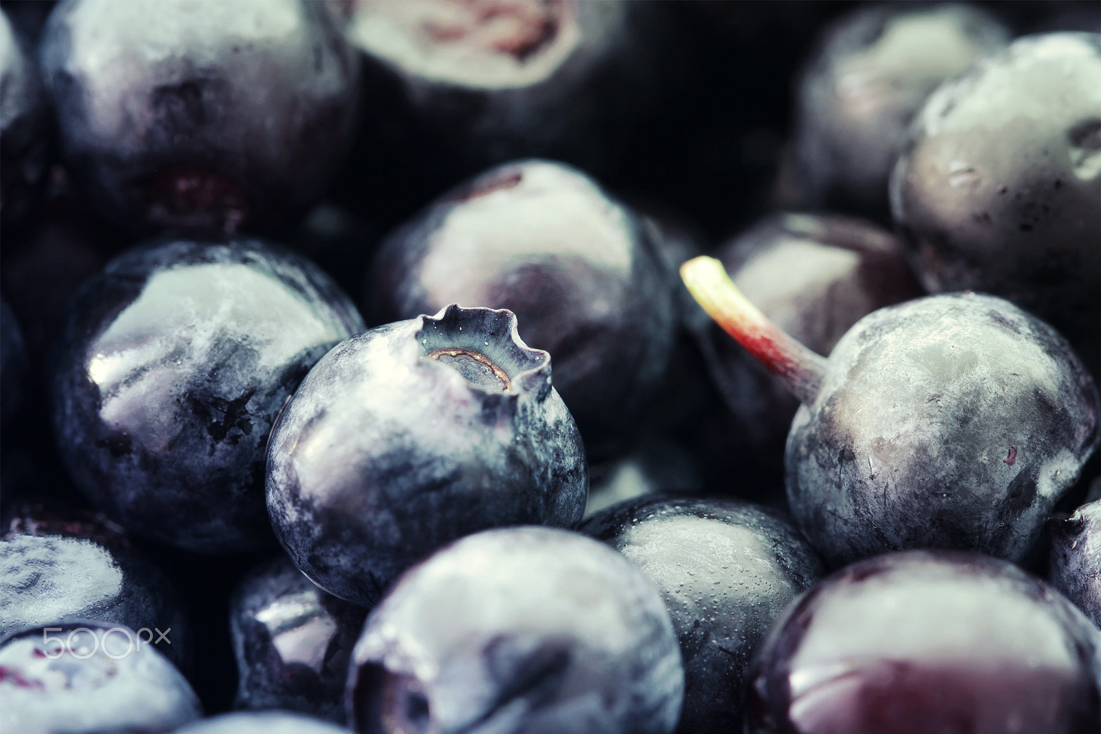 Canon EOS 550D (EOS Rebel T2i / EOS Kiss X4) + Canon EF 100mm F2.8L Macro IS USM sample photo. Blueberry food background close up photography
