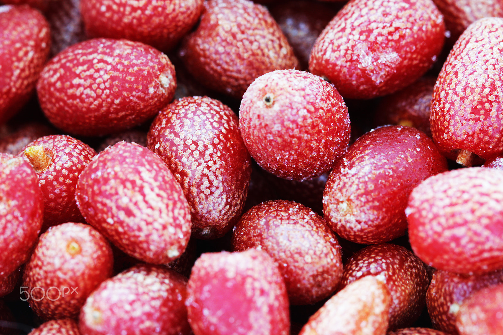 Canon EOS 550D (EOS Rebel T2i / EOS Kiss X4) + Canon EF 100mm F2.8L Macro IS USM sample photo. Goji berries frozen background photography