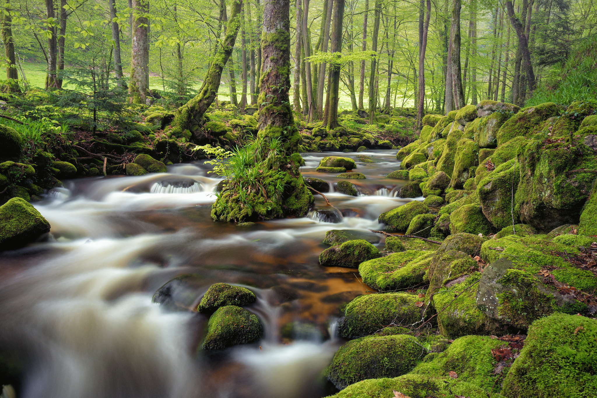 Canon EF 16-35mm F4L IS USM sample photo. River flows photography