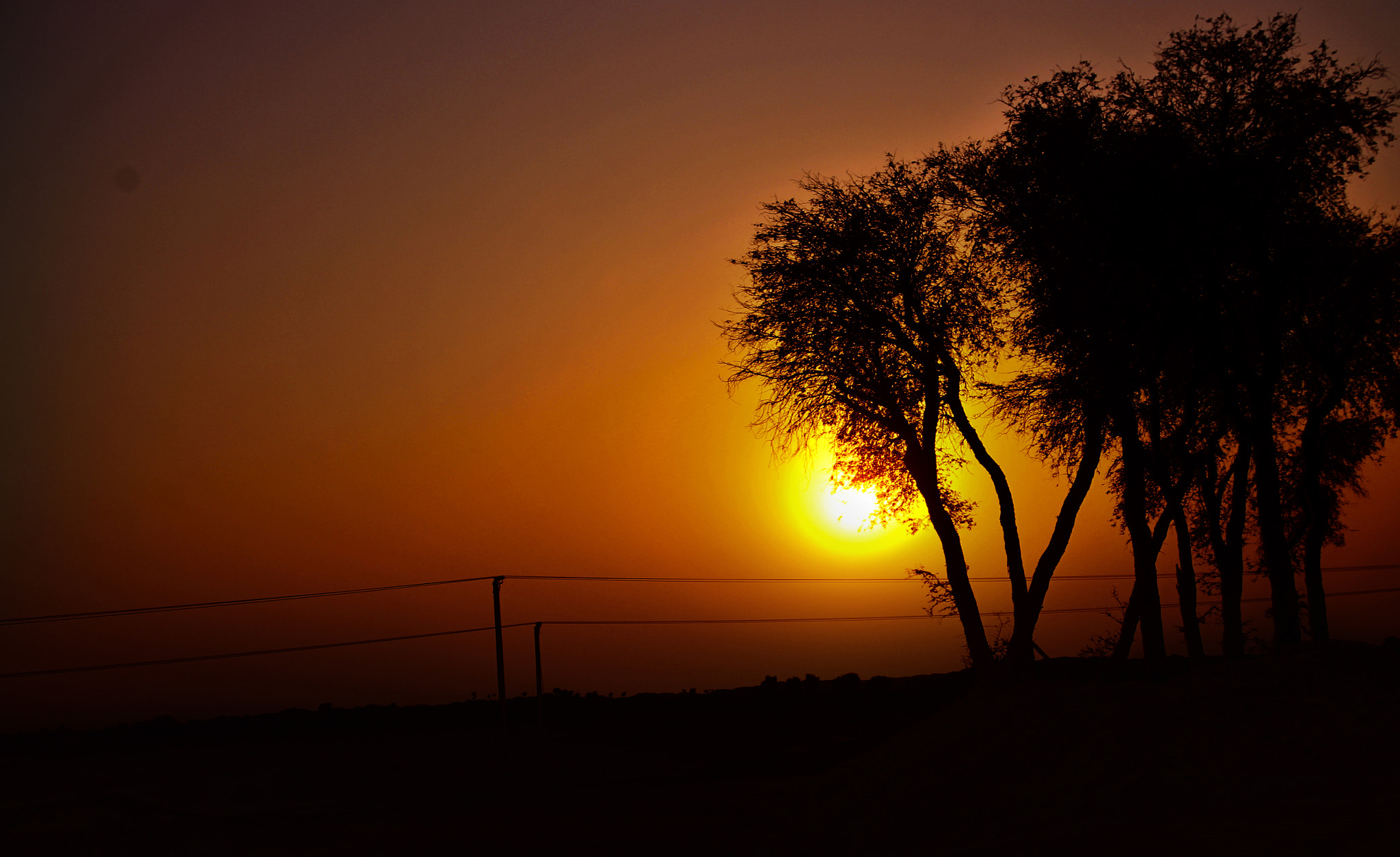 Canon EOS 60D + Sigma 18-50mm F2.8-4.5 DC OS HSM sample photo. Desert sun in dubai photography