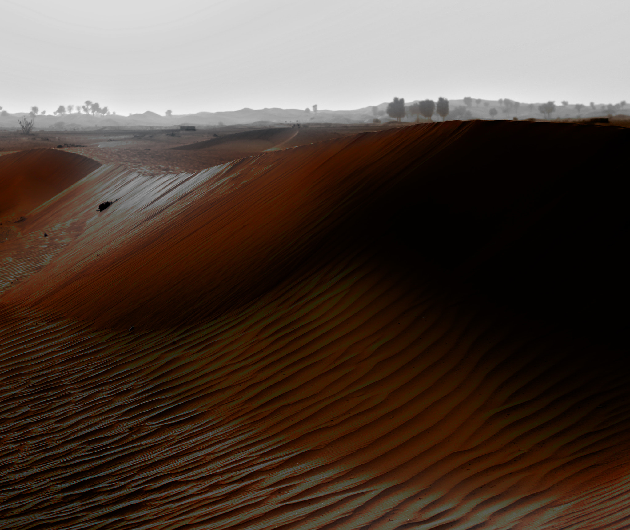Sigma 18-50mm F2.8-4.5 DC OS HSM sample photo. Dubai desert photography