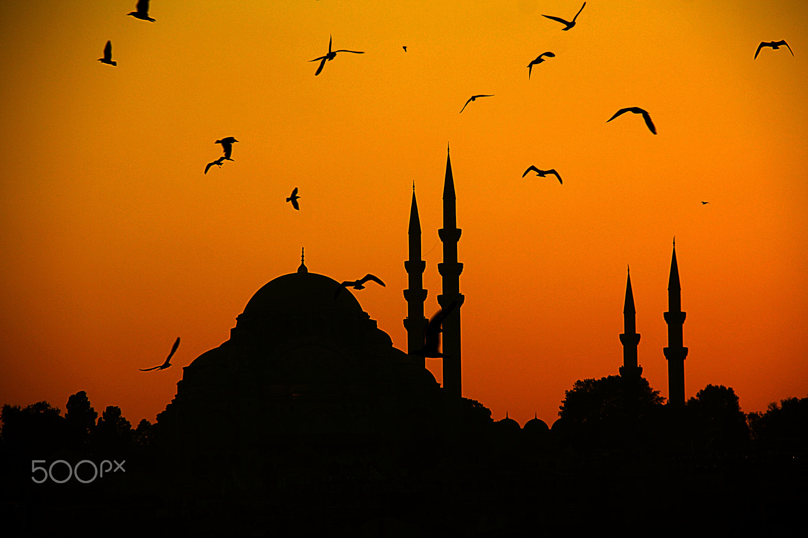 Canon EOS 1000D (EOS Digital Rebel XS / EOS Kiss F) sample photo. Gün batımı... photography