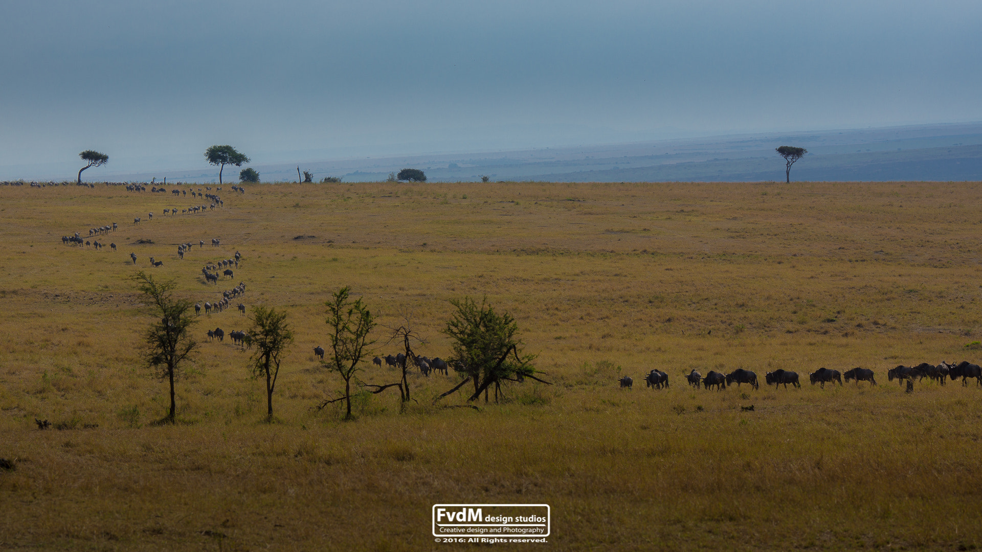 Sony SLT-A77 + Sony 70-400mm F4-5.6 G SSM sample photo. To the mara... photography