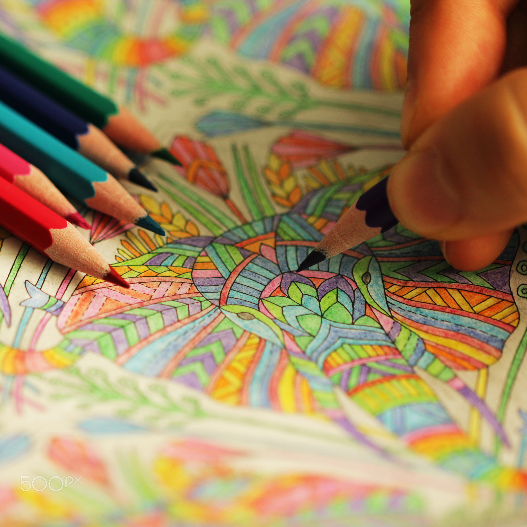 The coloring book with pencils