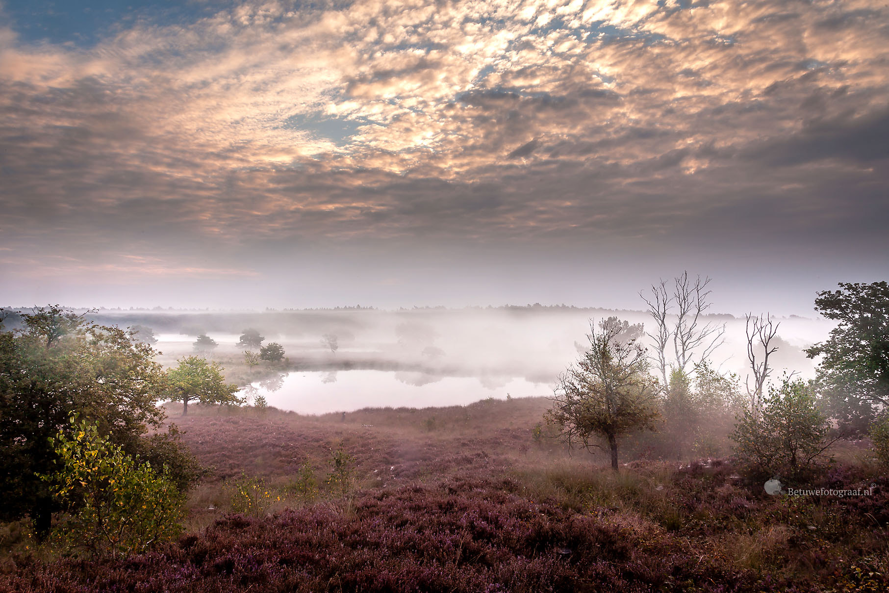 Canon EOS 5D Mark II + Sigma 24-105mm f/4 DG OS HSM | A sample photo. Misty landscape in holland photography