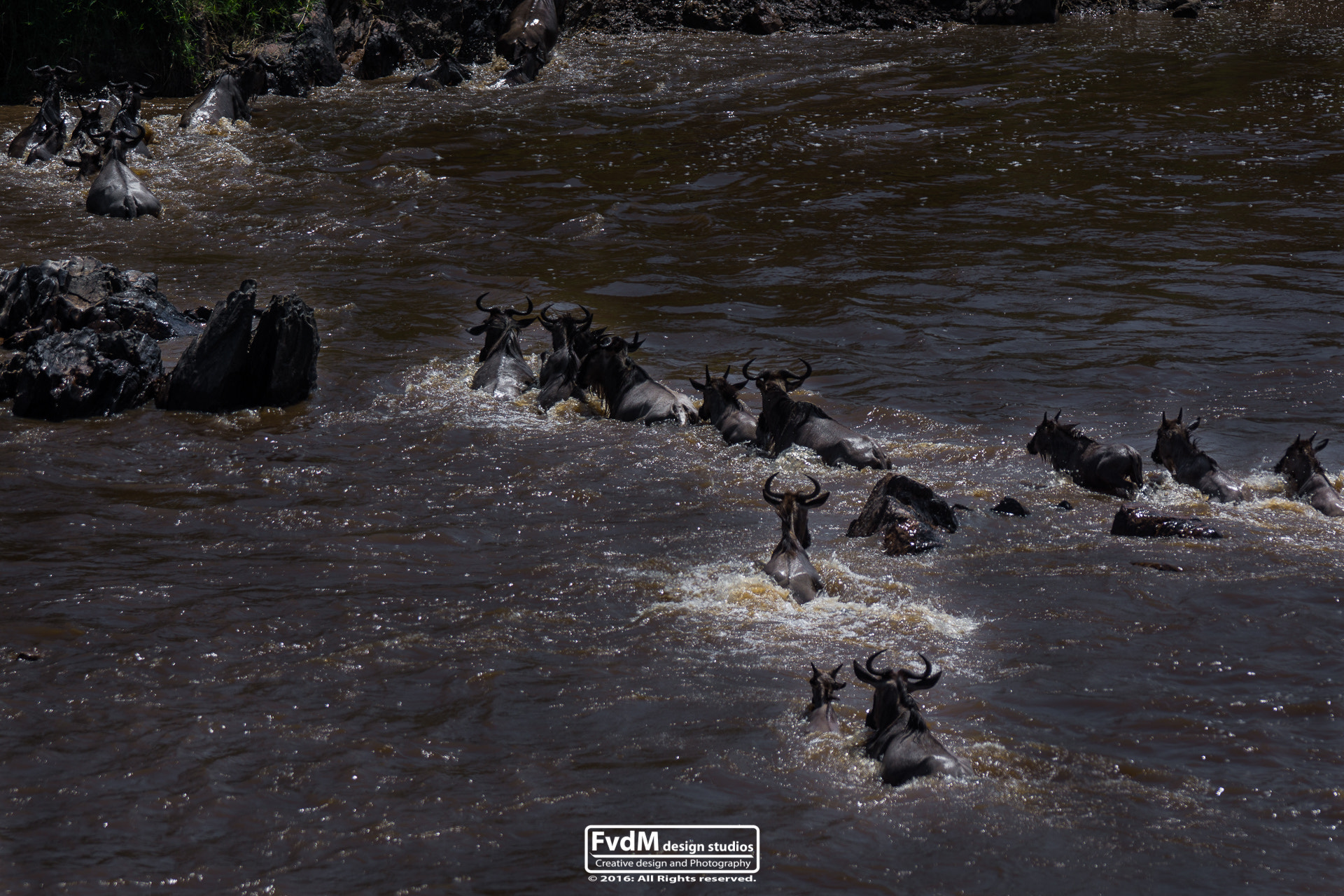 Sony SLT-A77 + Sony 70-400mm F4-5.6 G SSM sample photo. The long-awaited crossing... photography