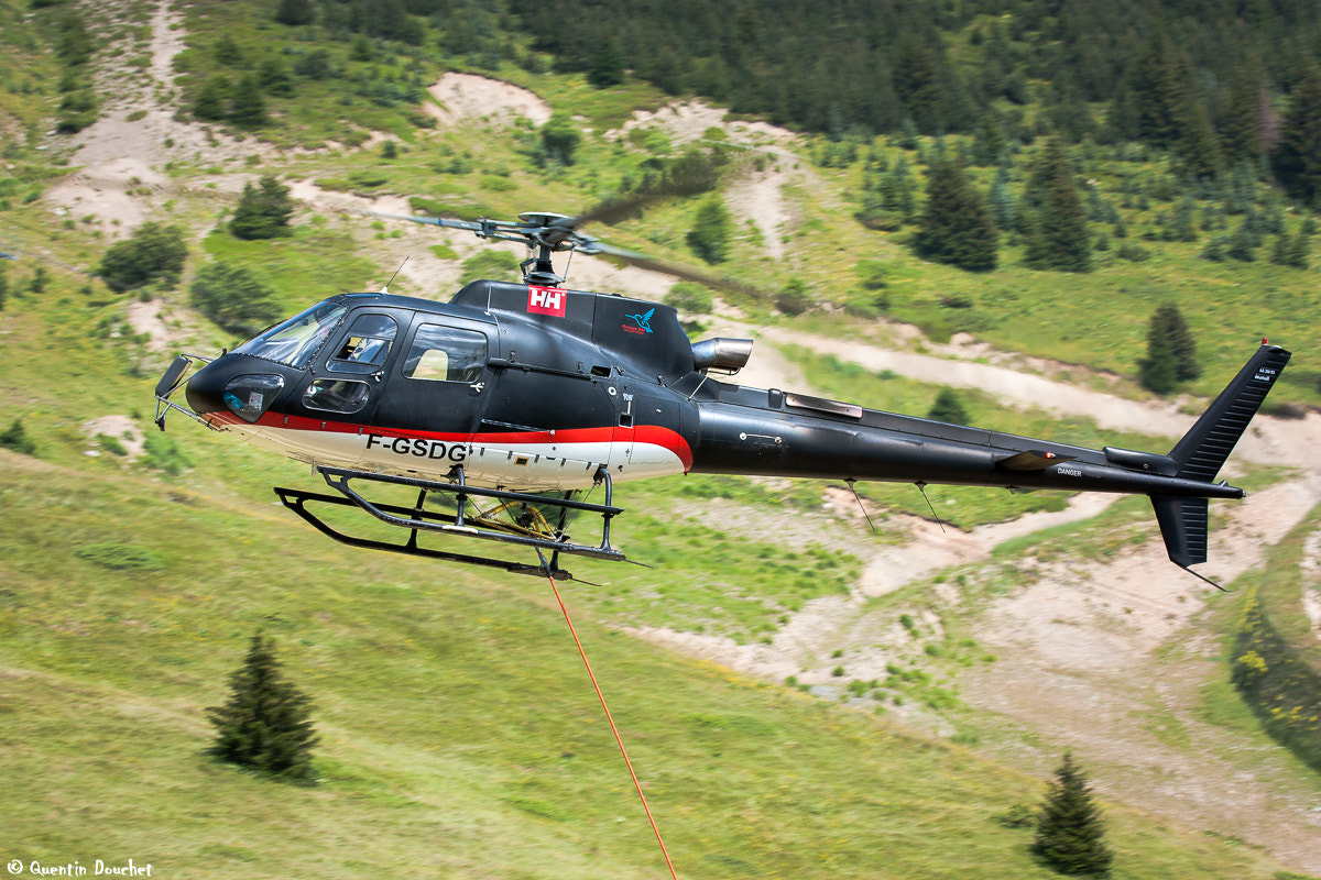 Canon EF 100-400mm F4.5-5.6L IS USM sample photo. As 350 b3 ecureuil f-gsdg photography