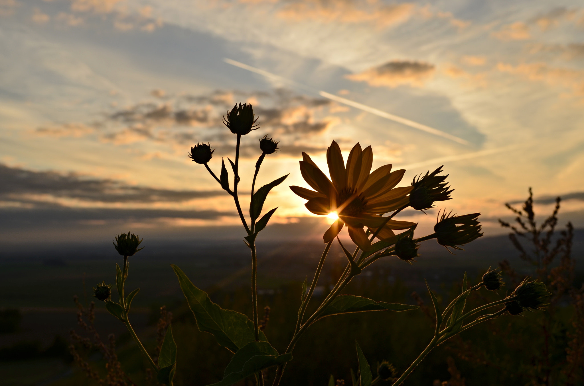 Nikon D5100 + Nikon AF-S Nikkor 28mm F1.8G sample photo. Večerní photography