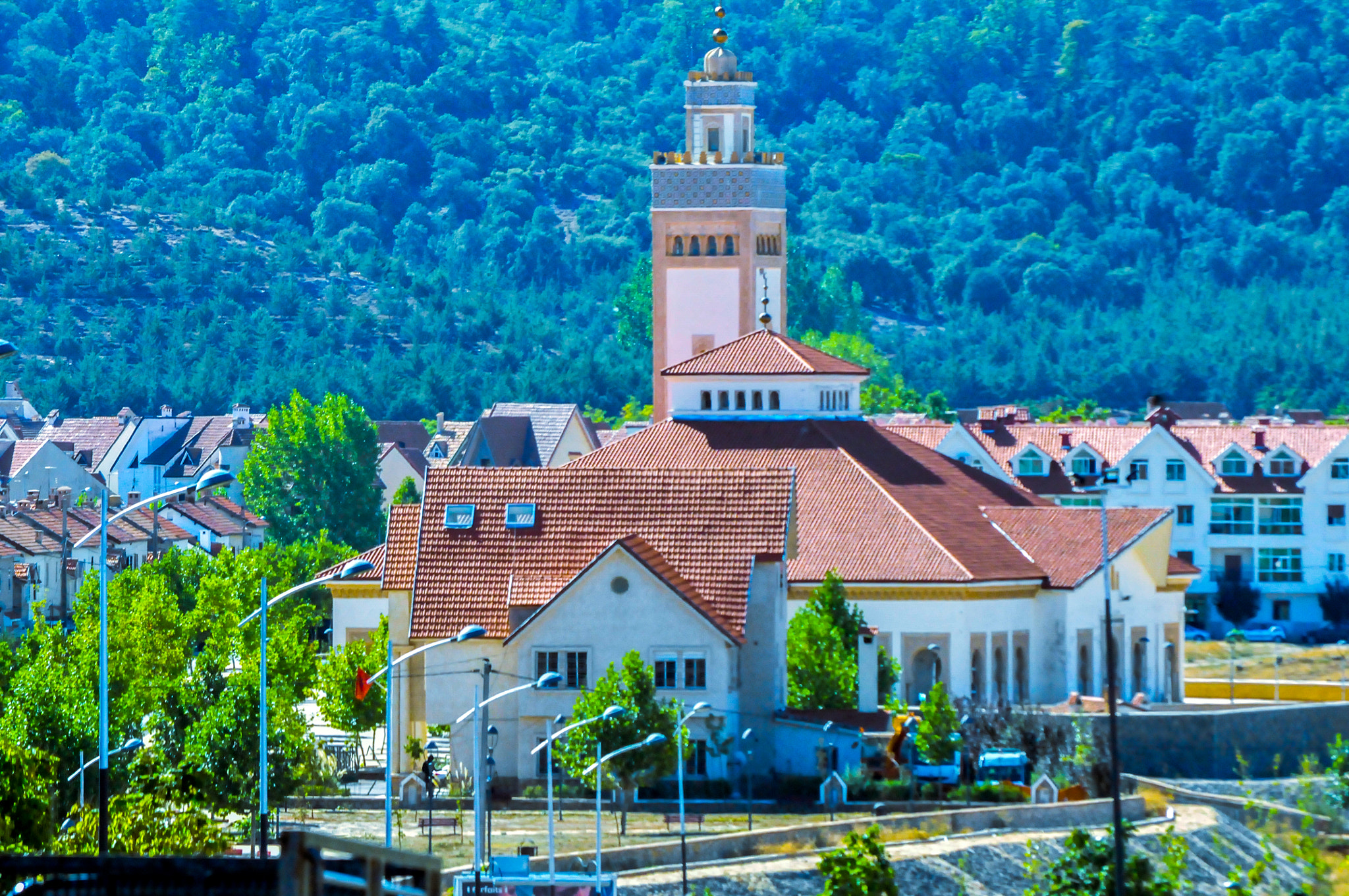 Nikon D300 sample photo. Mosque photography