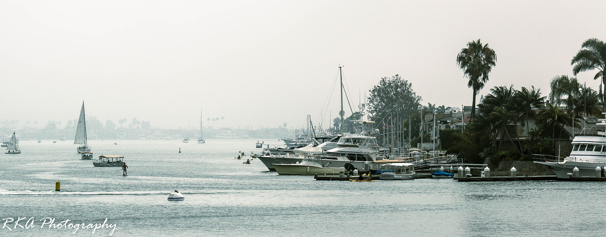 Canon EF 100mm F2.8L Macro IS USM sample photo. Foggy morning in newport beach photography