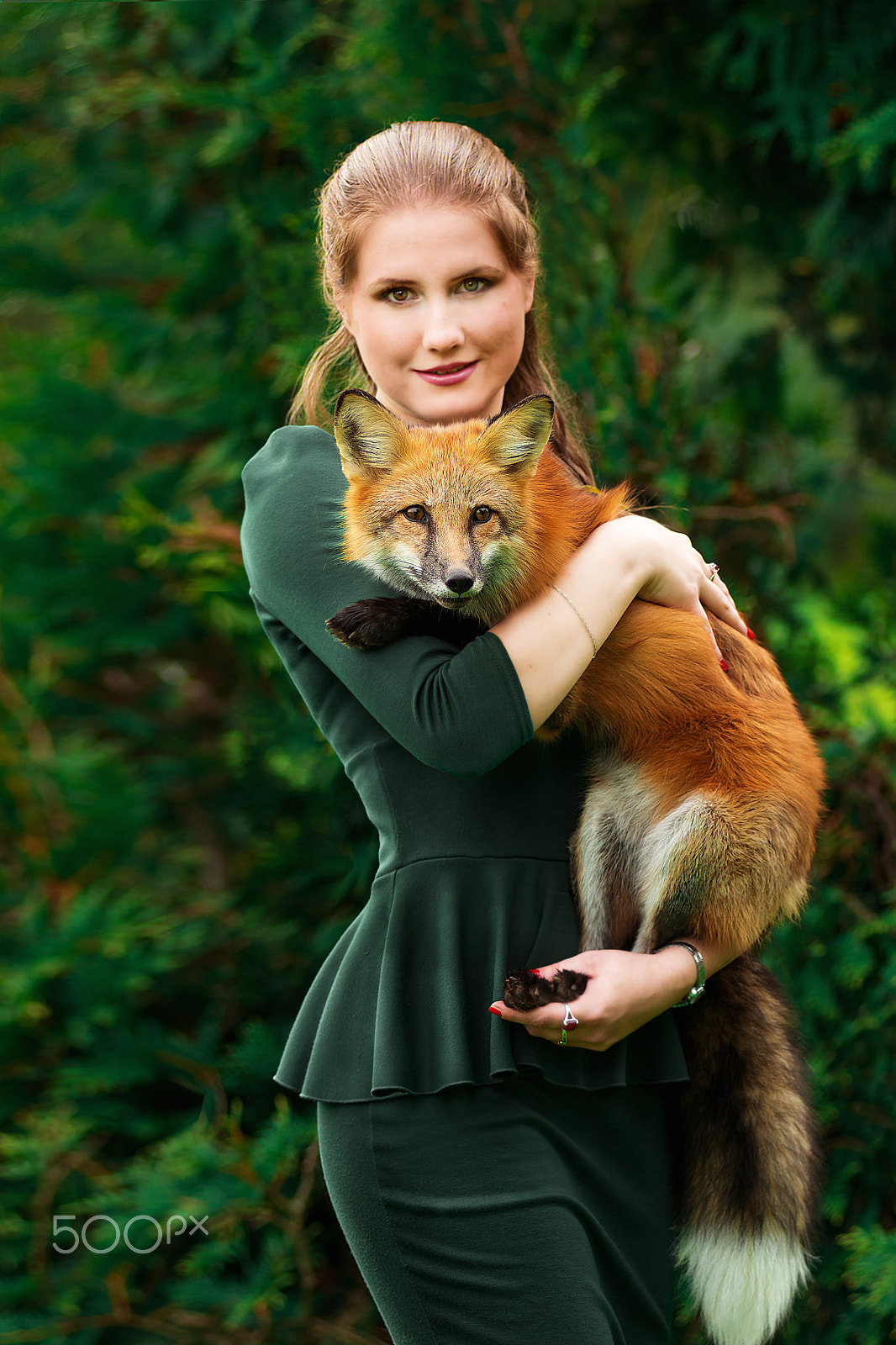 AF Zoom-Nikkor 80-200mm f/2.8 ED sample photo. Photo shoot with a fox photography