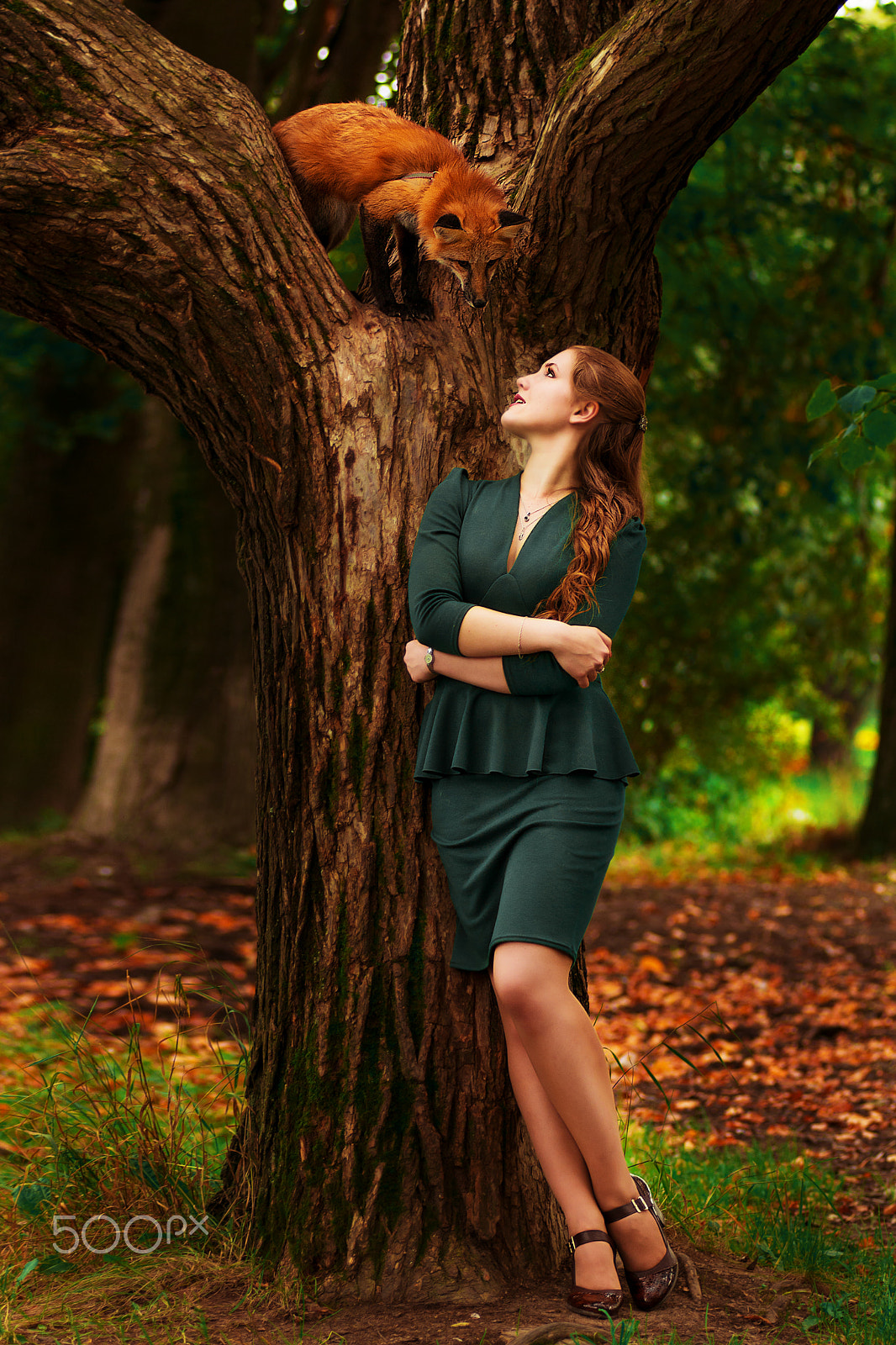 AF Zoom-Nikkor 80-200mm f/2.8 ED sample photo. Photo shoot with a fox photography