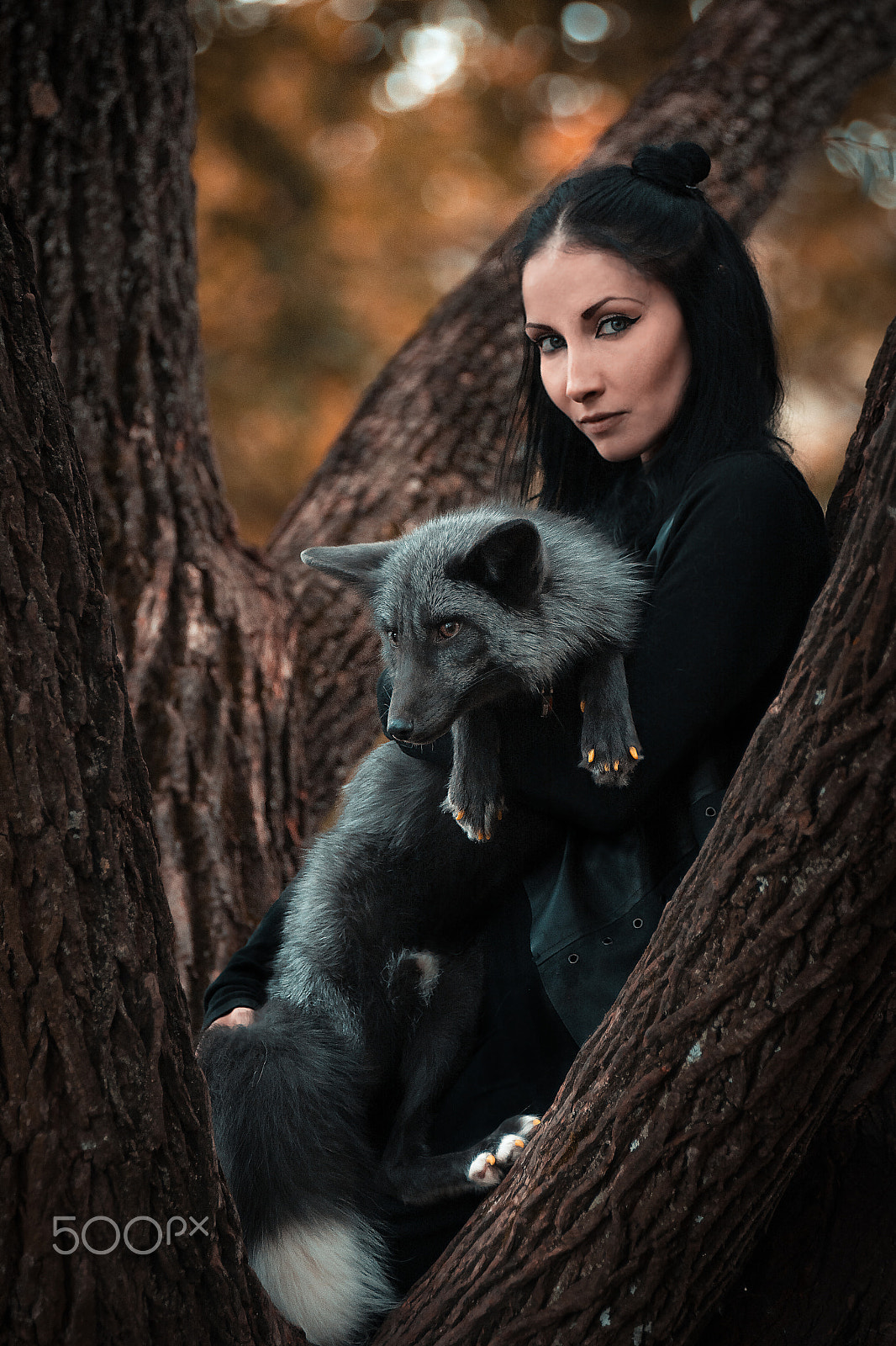 AF Zoom-Nikkor 80-200mm f/2.8 ED sample photo. Домашний лис Спайк на съемках photography