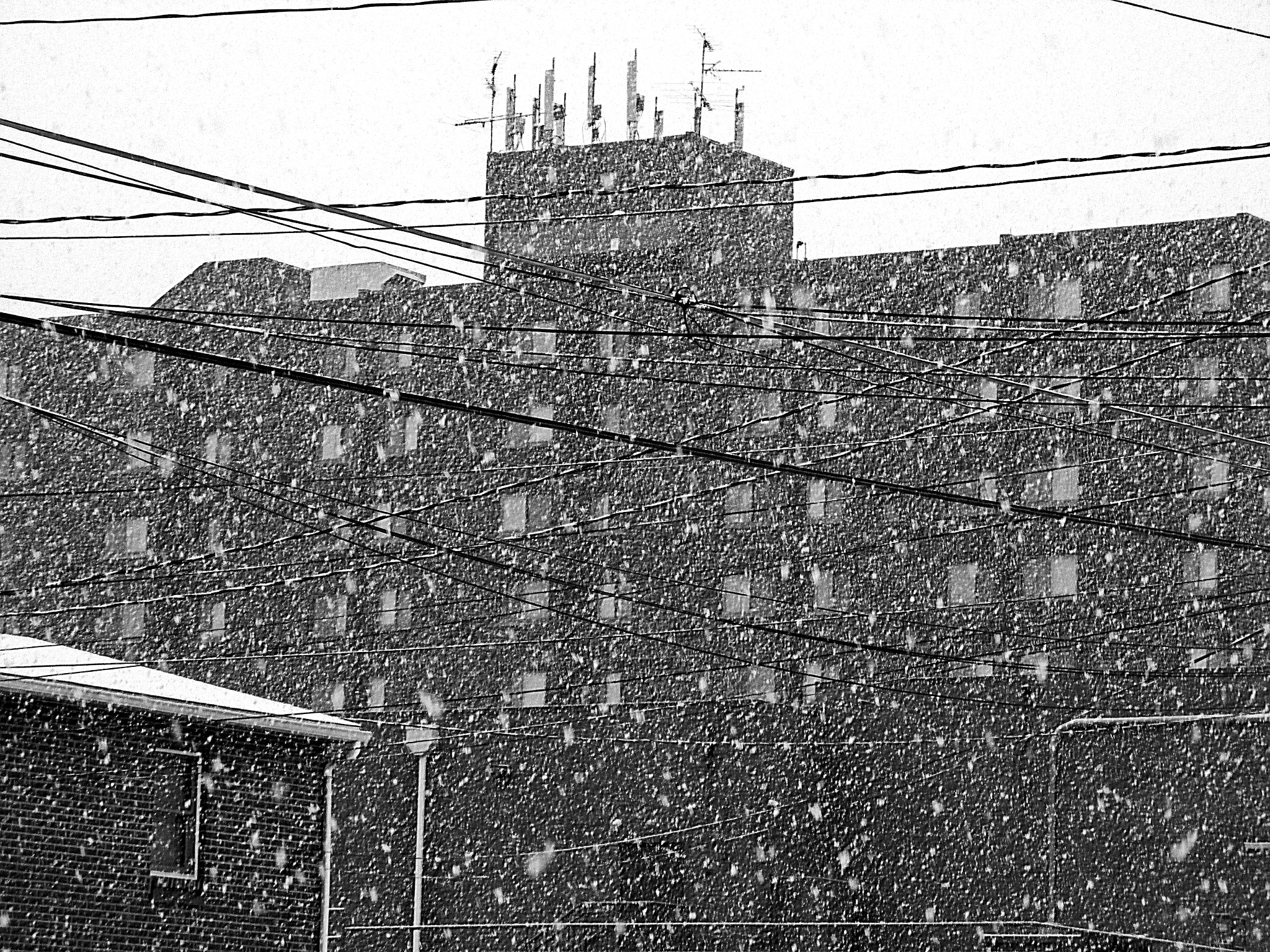 Canon PowerShot ELPH 160 (IXUS 160 / IXY 150) sample photo. Snow photography