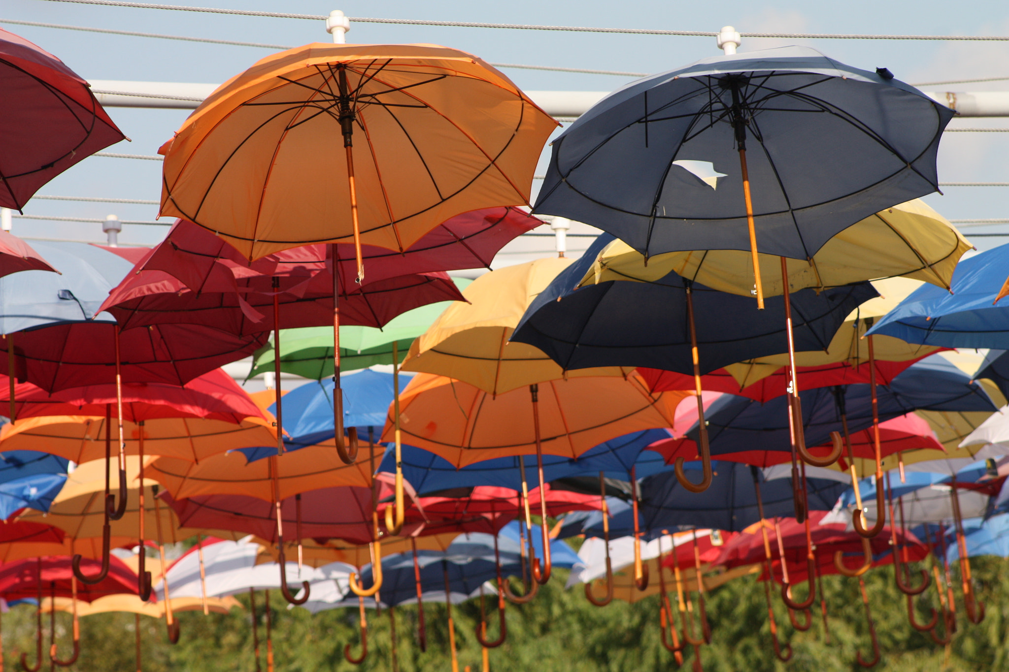 Canon EOS 450D (EOS Rebel XSi / EOS Kiss X2) + EF75-300mm f/4-5.6 sample photo. Umbrellas.. photography