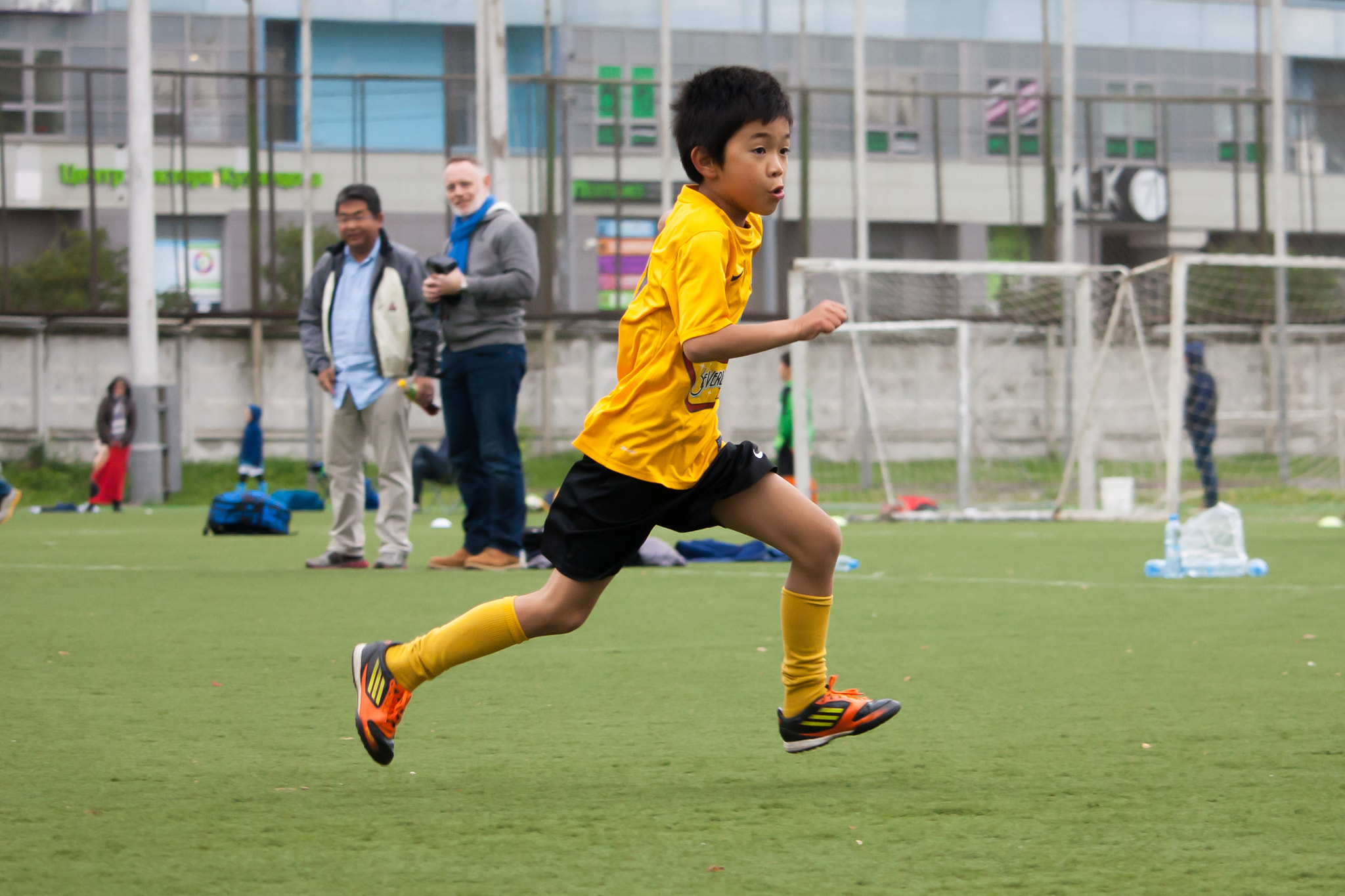 Canon EF-S 55-250mm F4-5.6 IS STM sample photo. In yellow photography