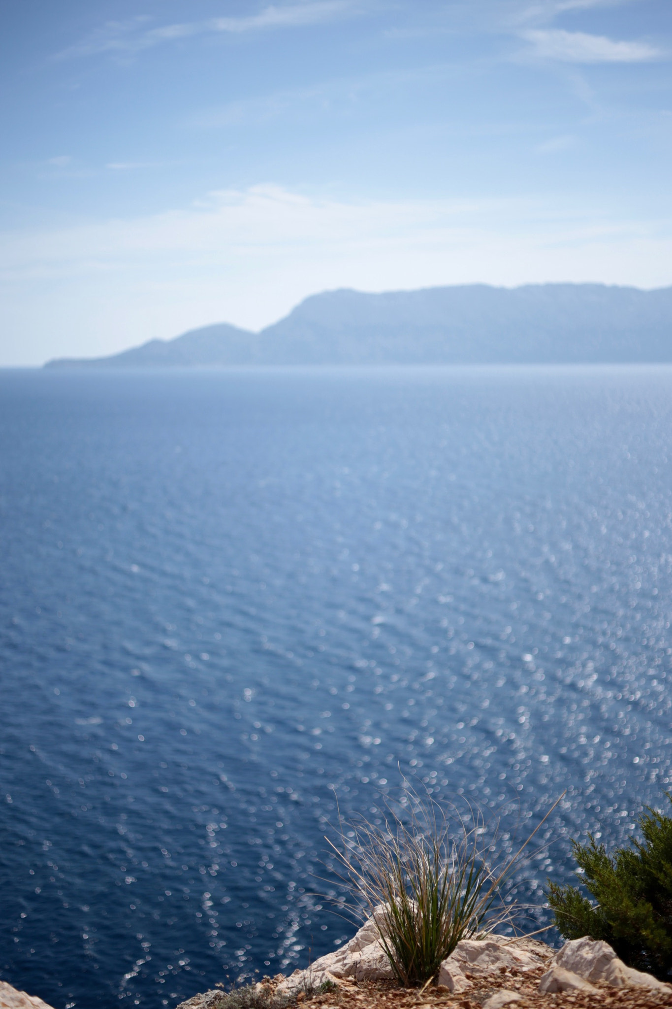 ZEISS Makro-Planar T* 50mm F2 sample photo
